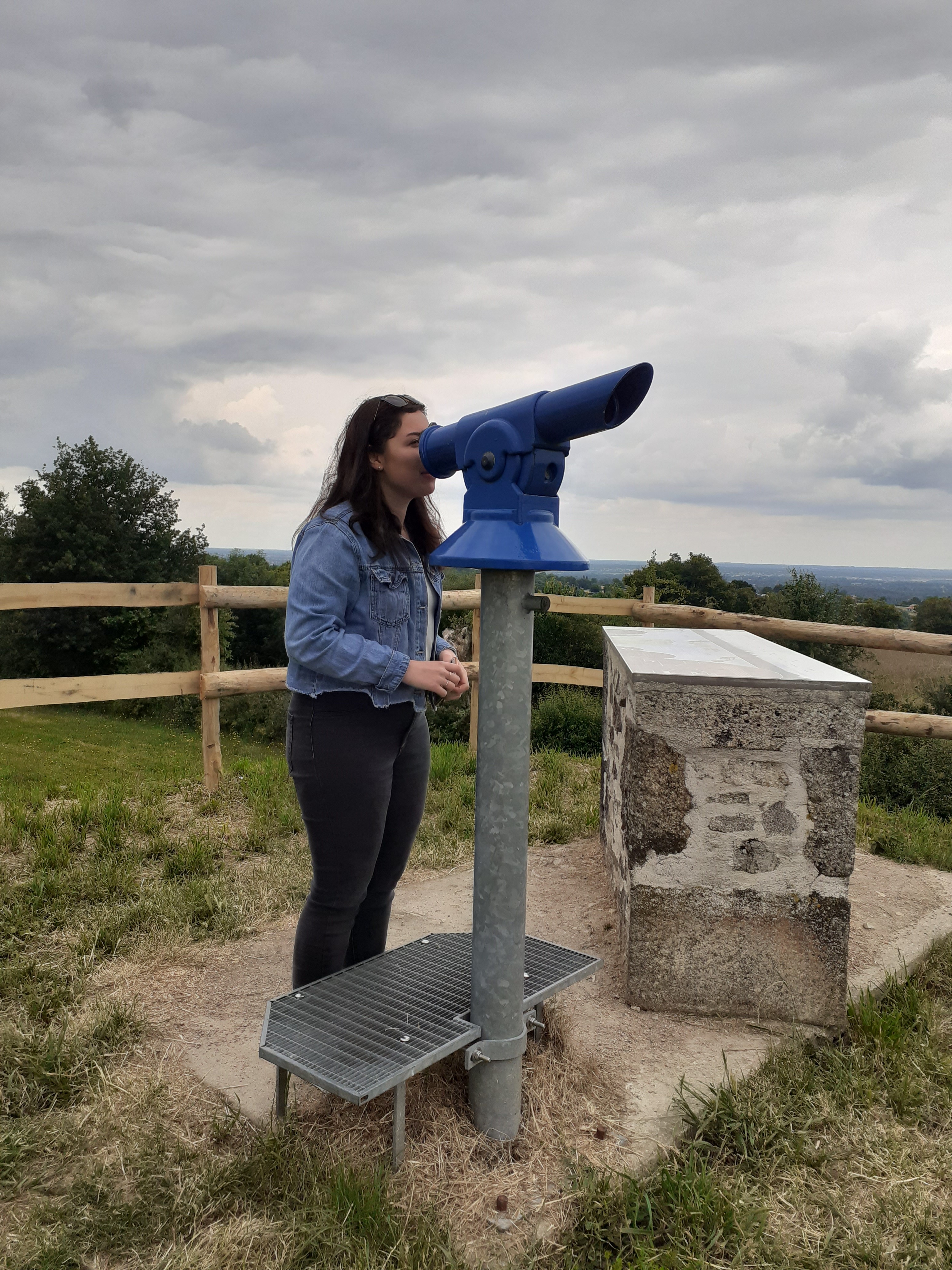Terrier du Fouilloux, Saint-Martin-du-Fouilloux - photo 3