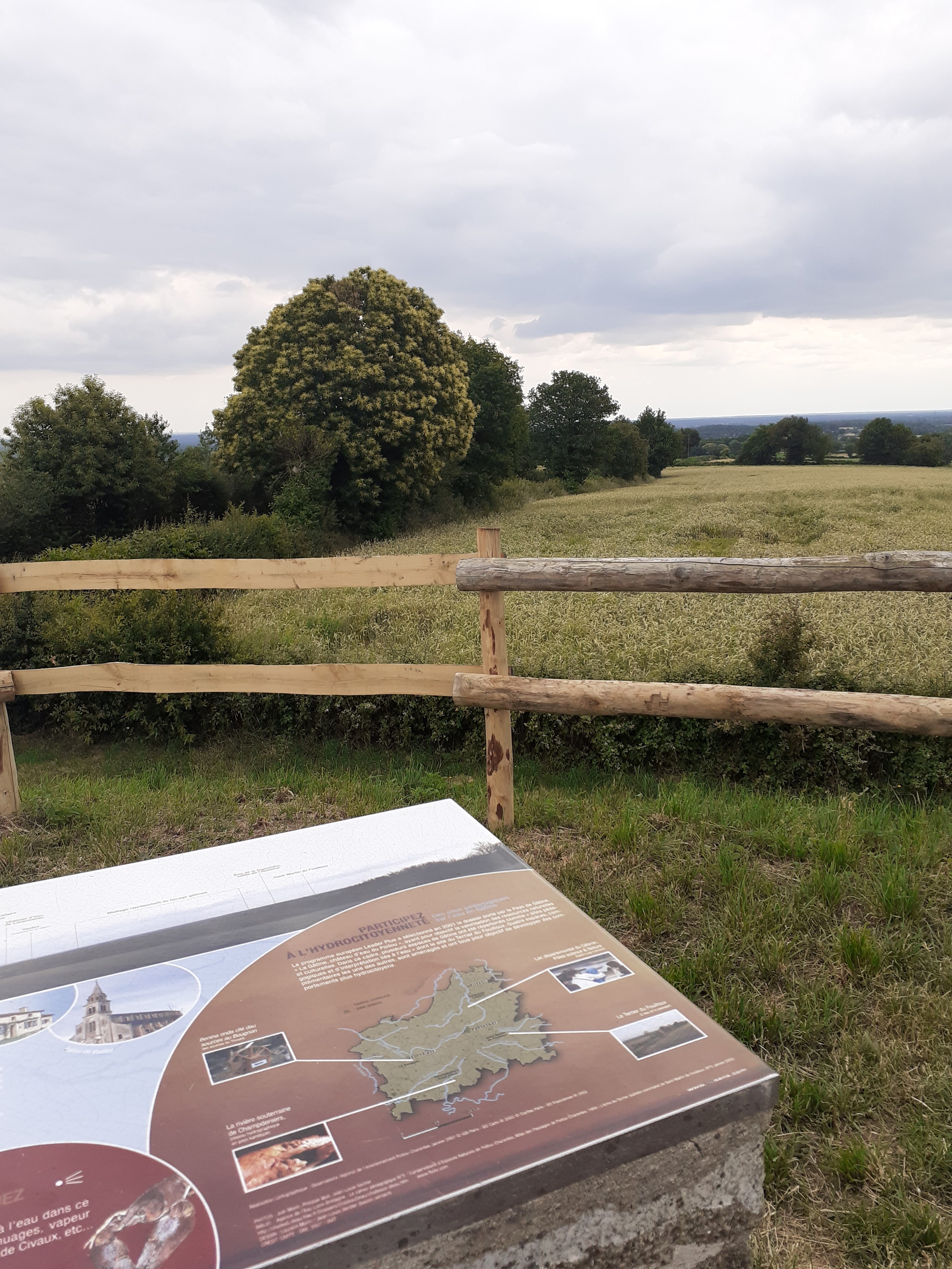 Terrier du Fouilloux, Saint-Martin-du-Fouilloux - photo 5