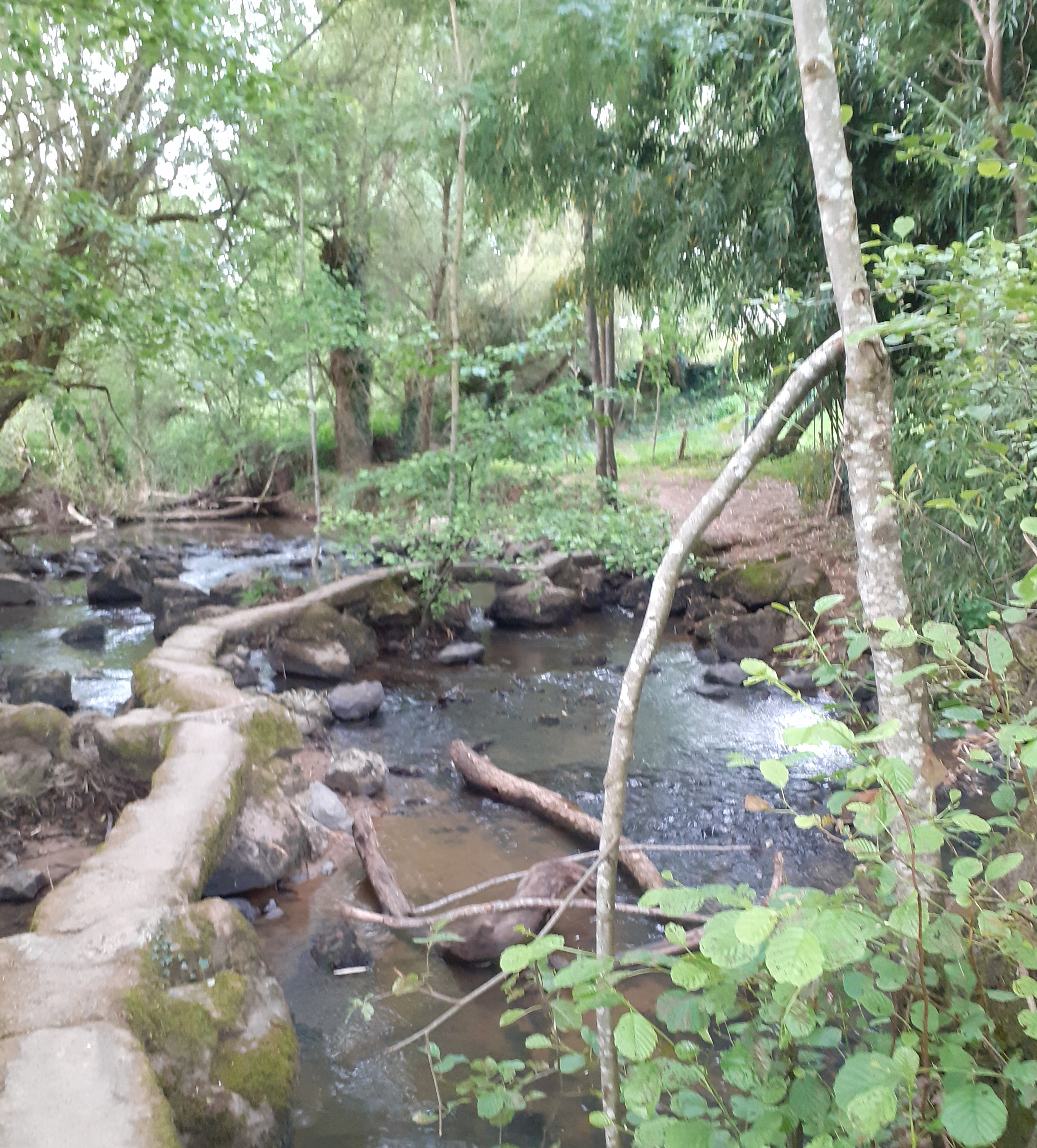 Le gué du Rézard, Pompaire
