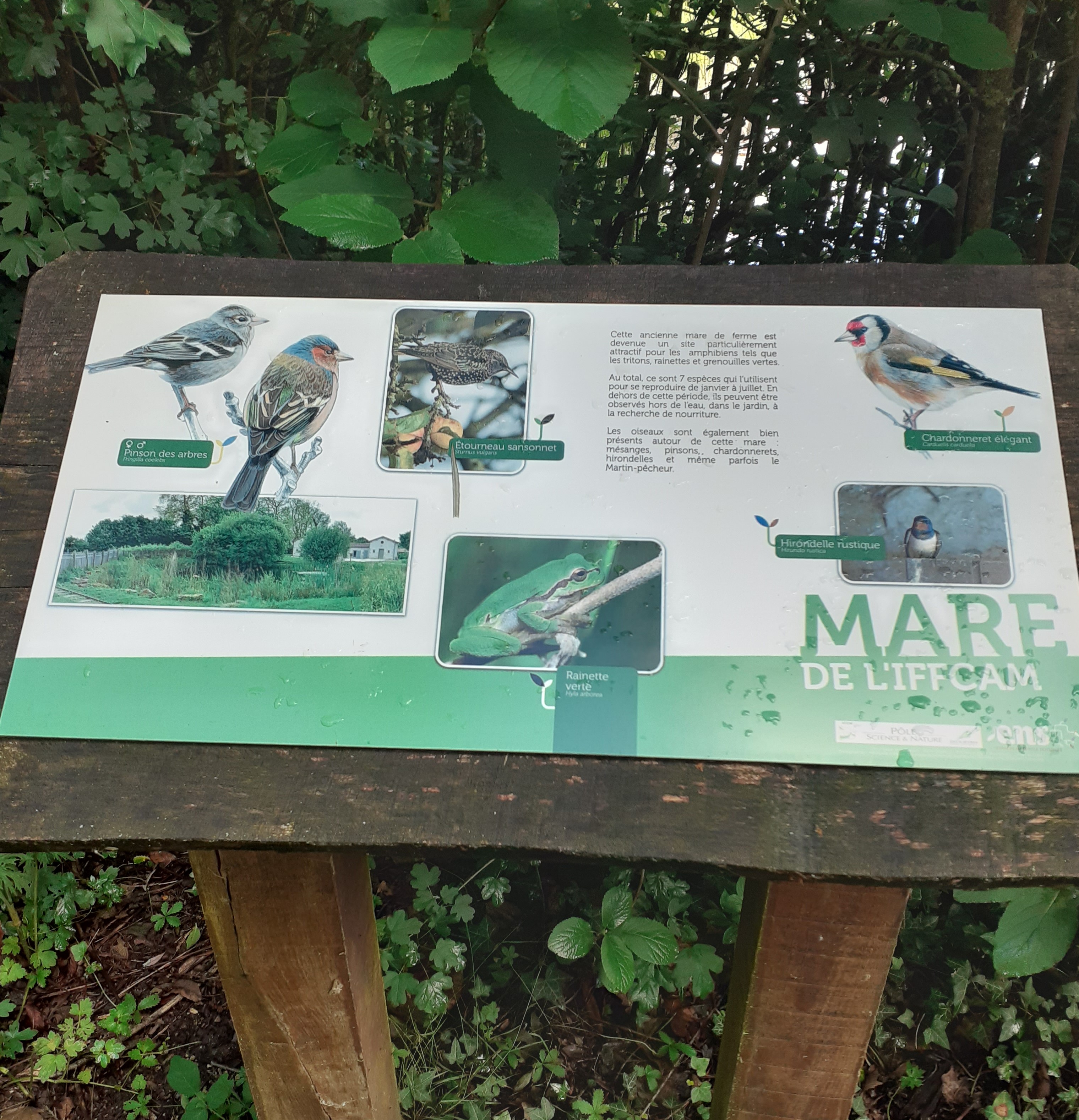 La Grimaudière - IFFCAM, Les Châteliers