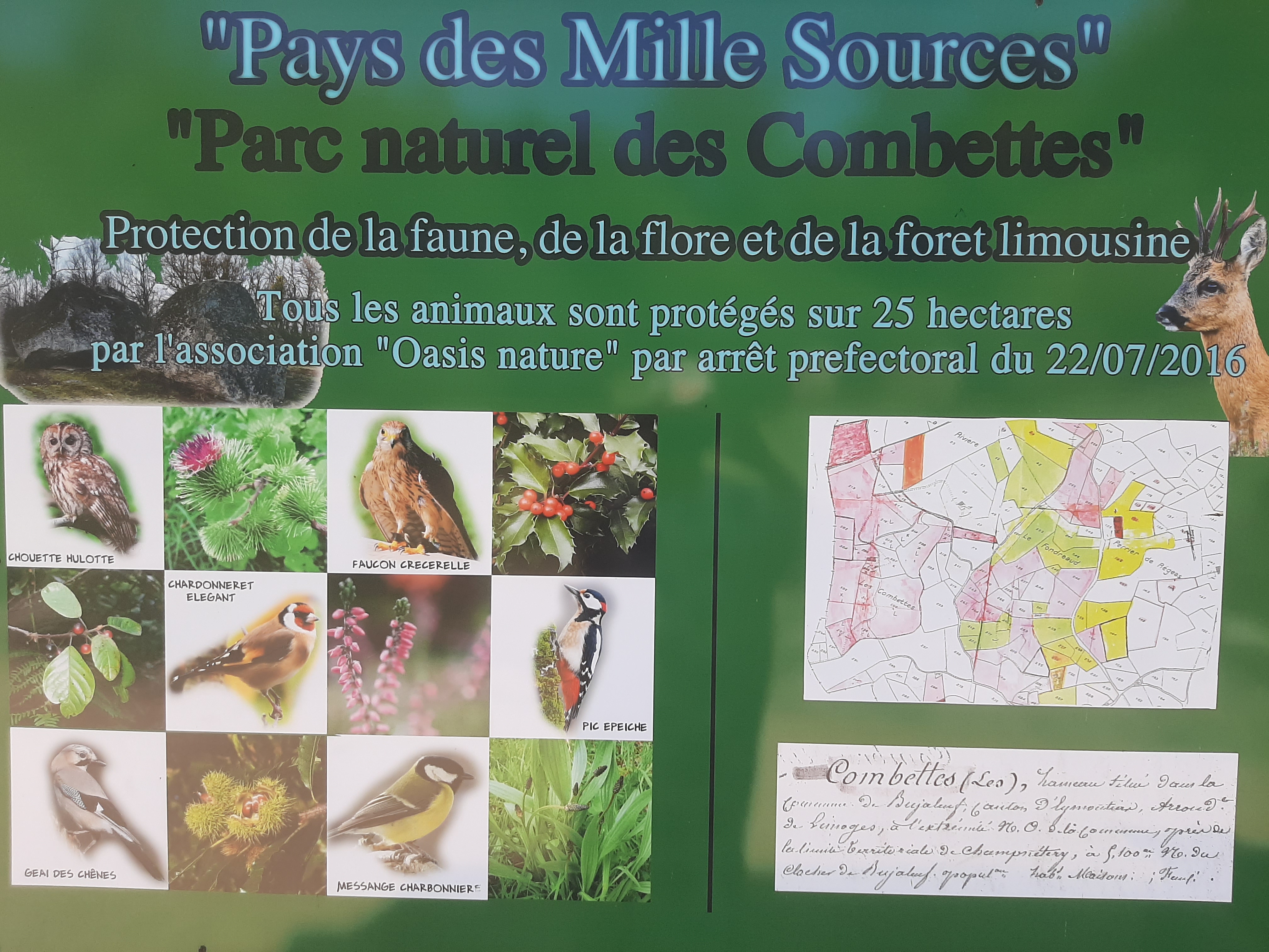 Melissa Miel, visite gratuite chez un apiculteur, Cheissoux - photo 13