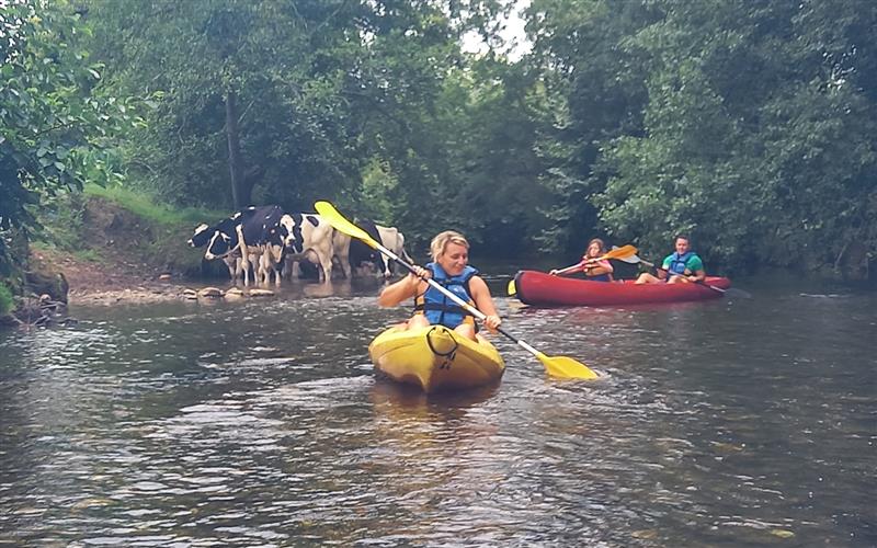 Canoë sur Nivelle