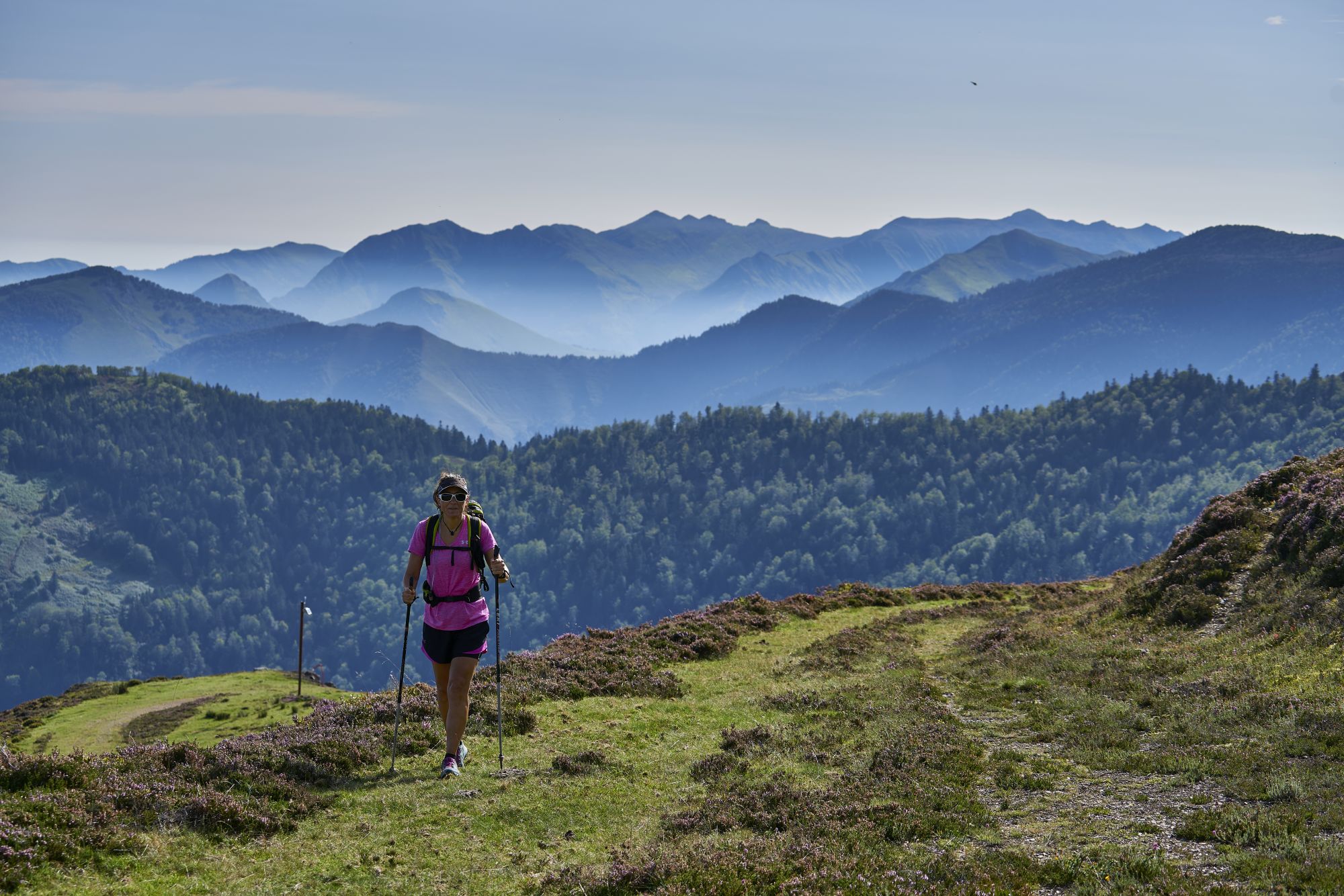 Plateau d'altitude d'Issarbe - photo 4