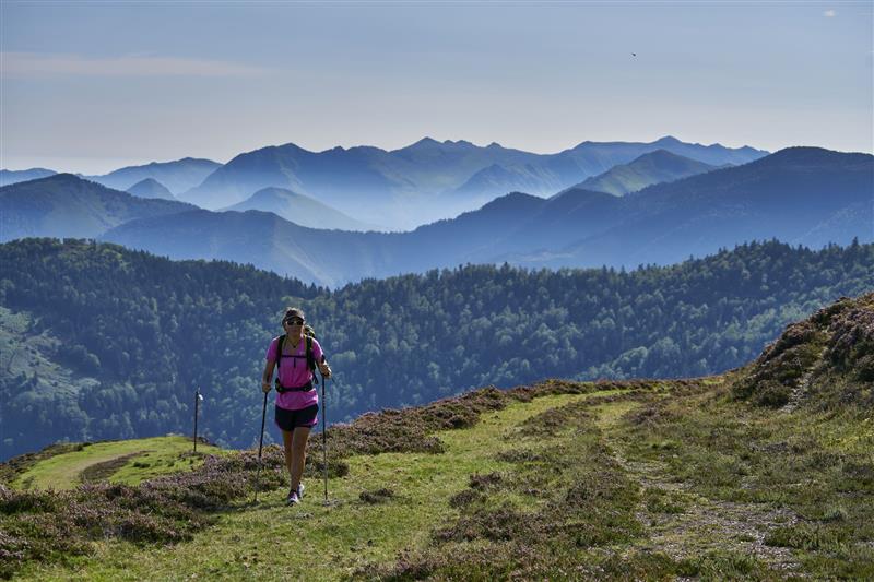 Plateau d'altitude d'Issarbe 