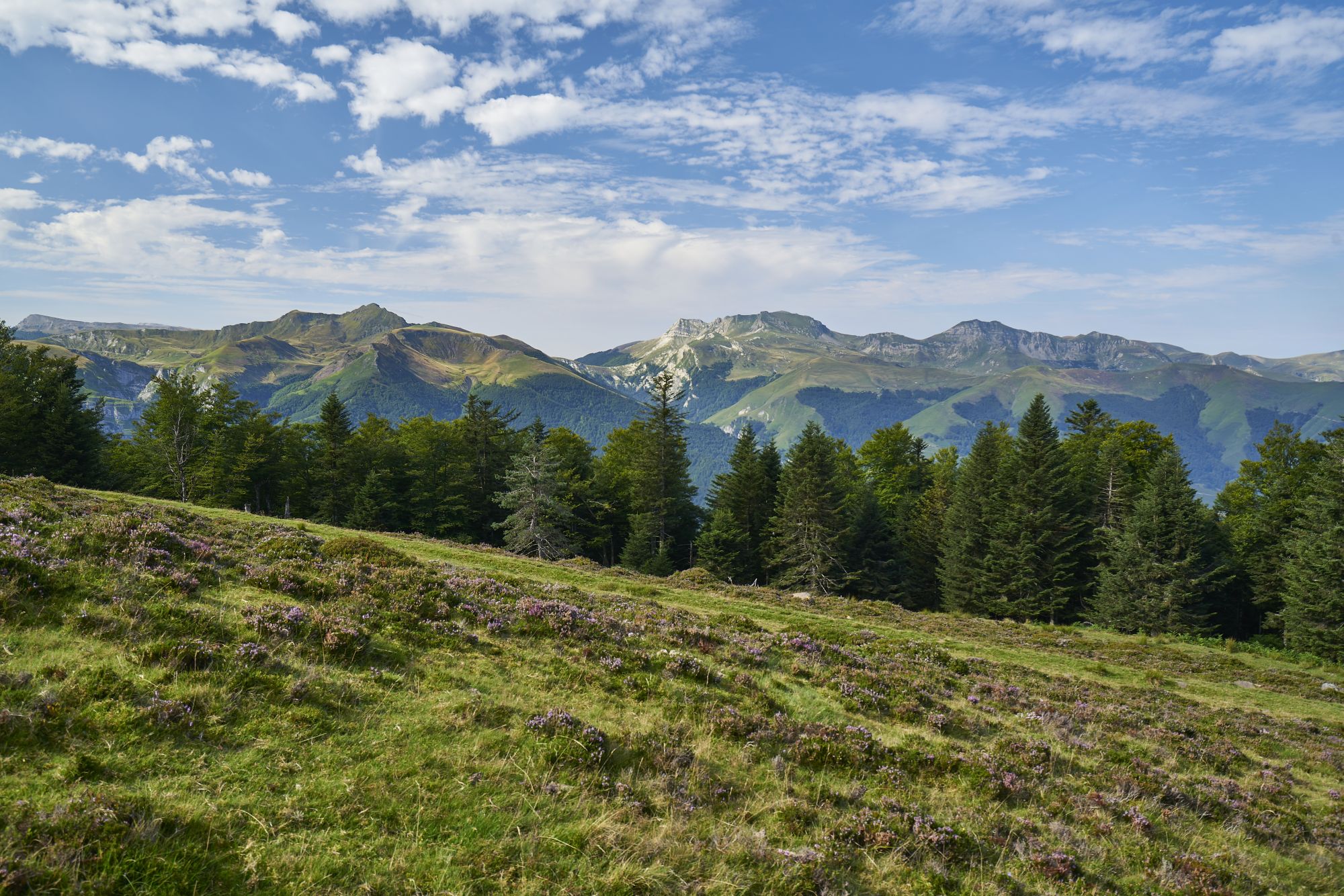 Plateau d'altitude d'Issarbe, Lanne-en-Barétous - photo 7