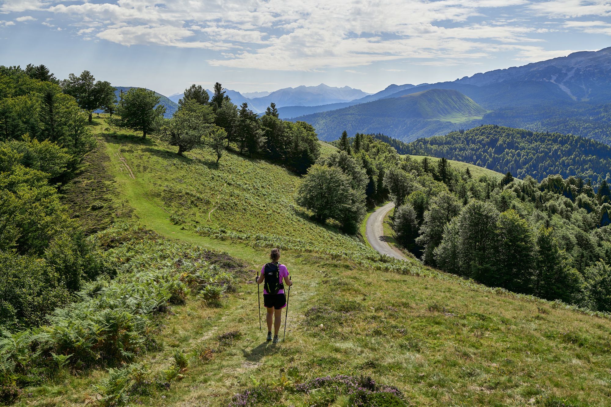 Plateau d'altitude d'Issarbe - photo 5