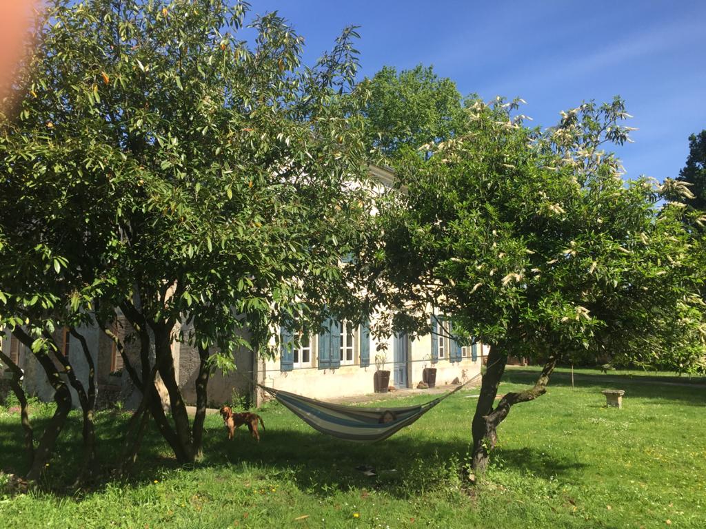 Château Duviella, Samadet - photo 5