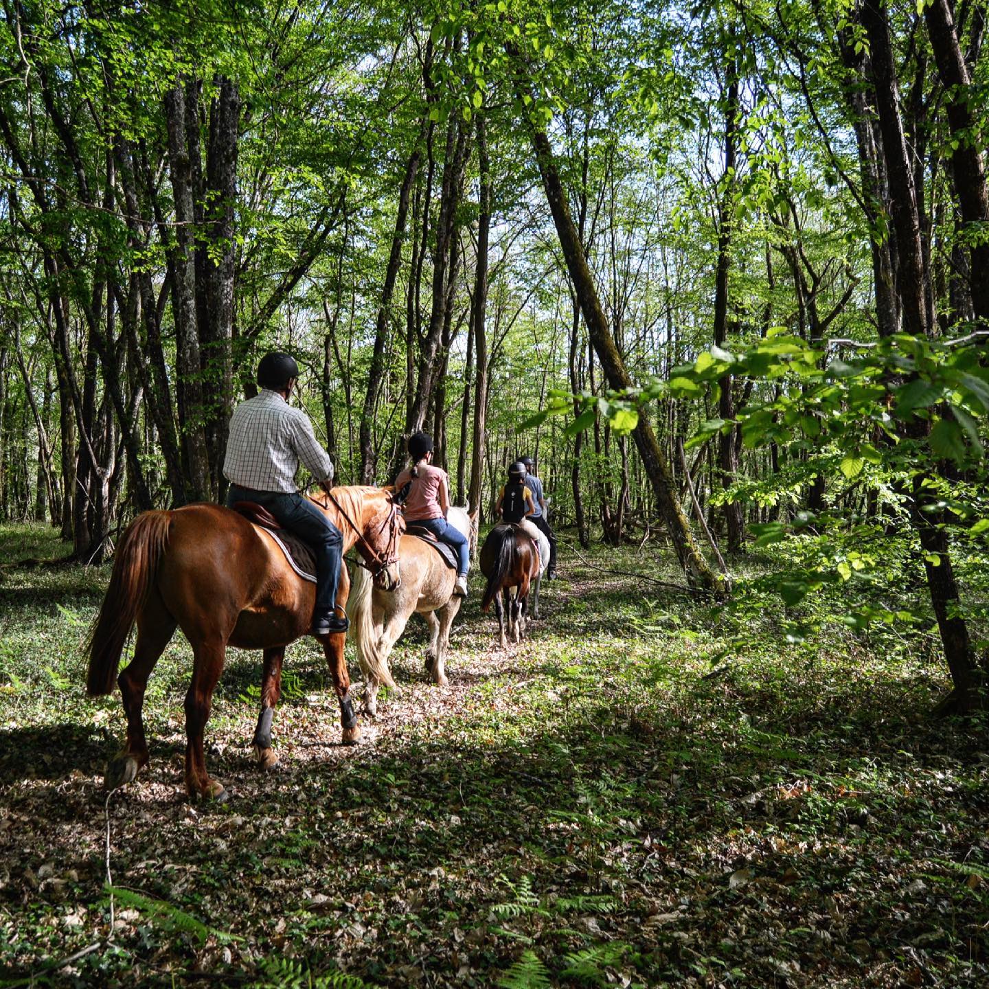 Ecuries du Château Les Armes de Brandeau