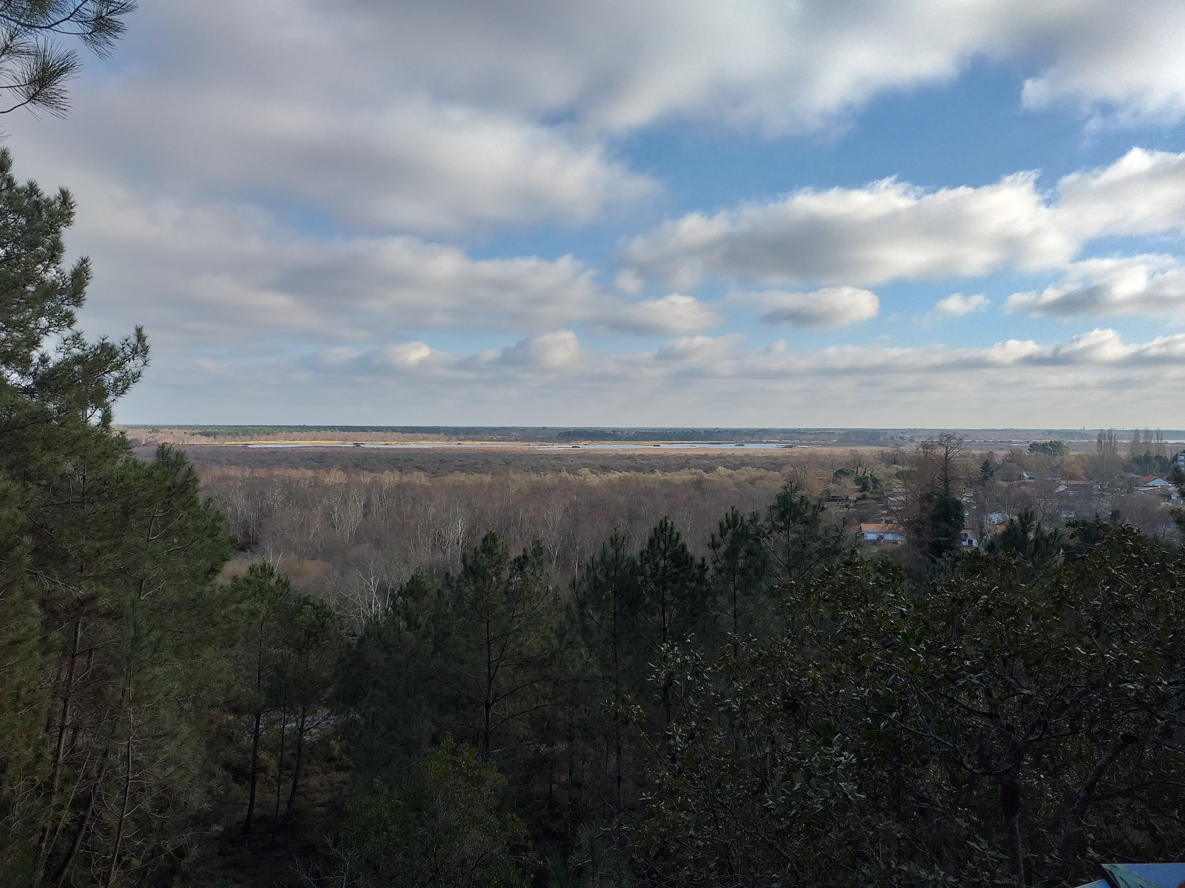 Le sentier des Crêtes - Réserve Naturelle de Hourtin - photo 3