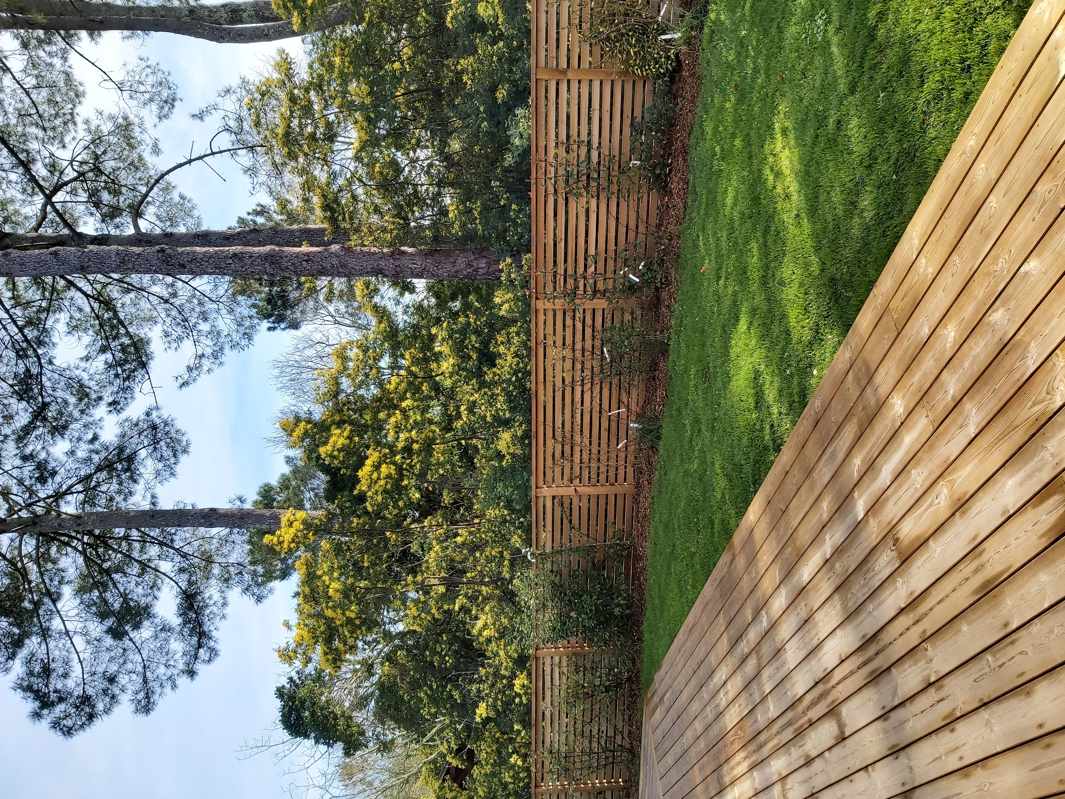 Les Oyats, Biscarrosse - photo 2