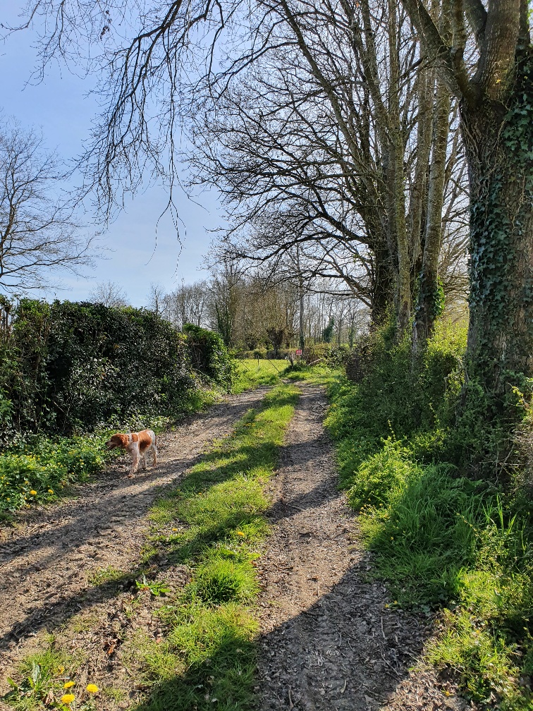 Gîte du petit Marchais, Courlay - photo 20