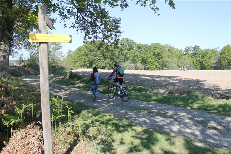 Location de vélos