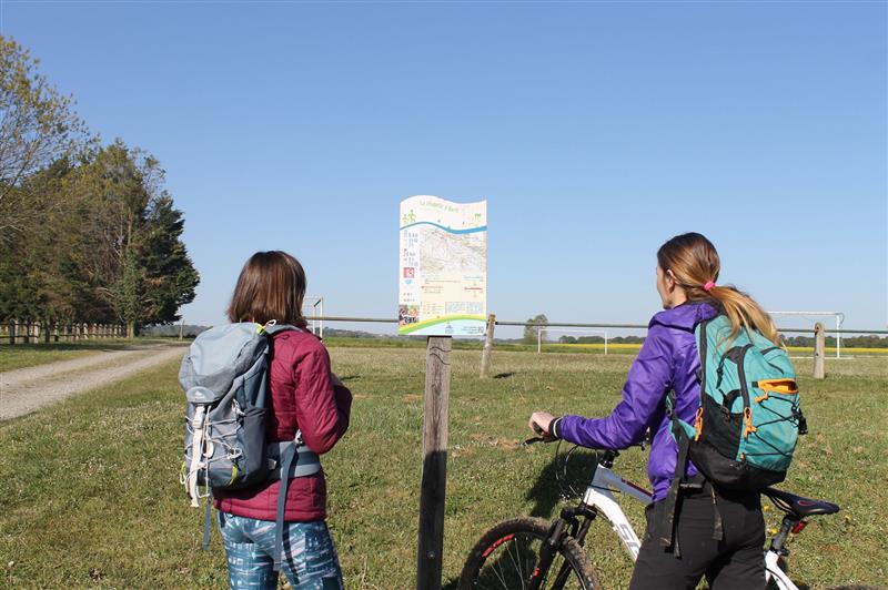 Location de vélos