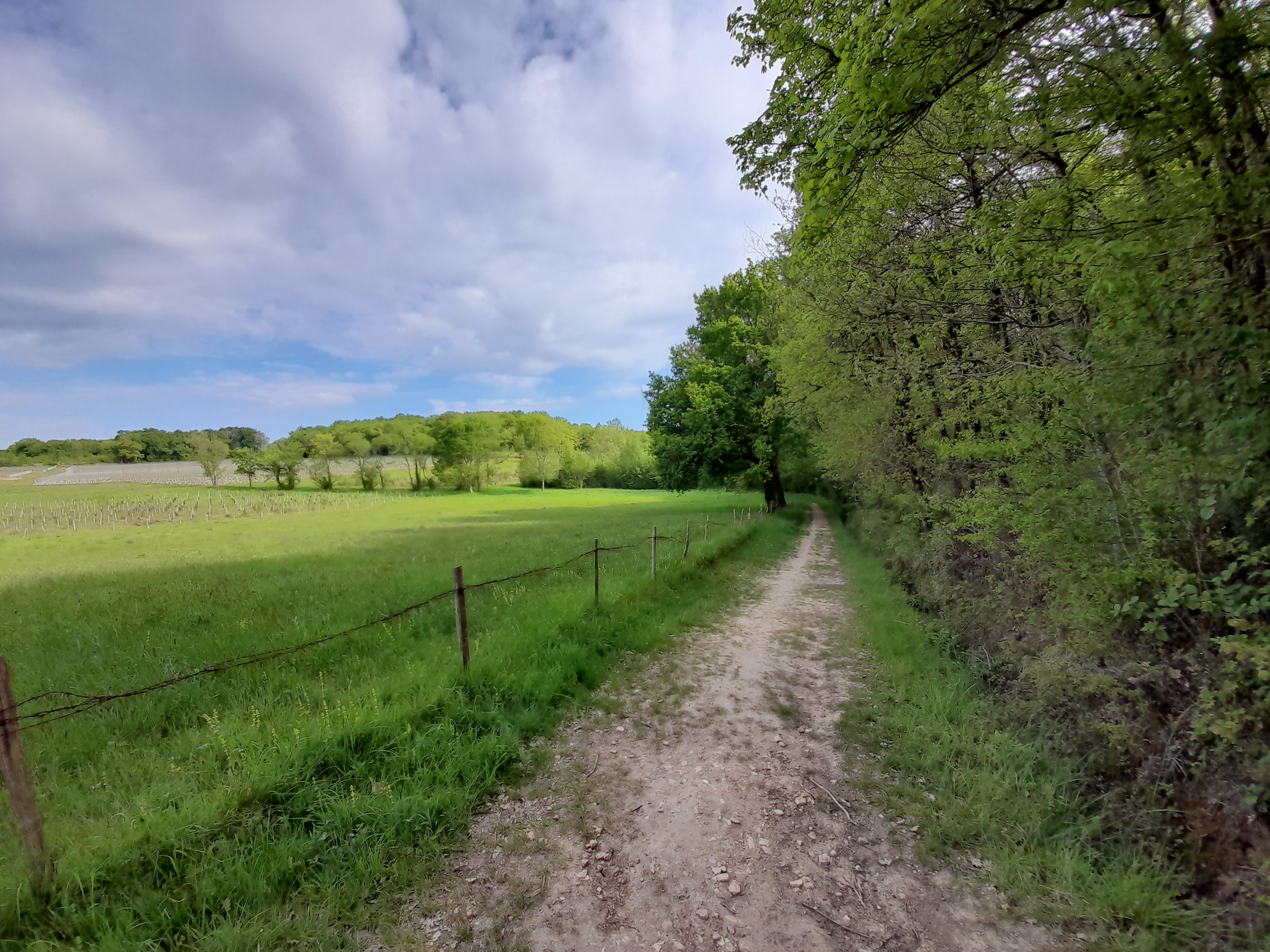 Boucle Médiévale, La Lande-de-Fronsac - photo 3