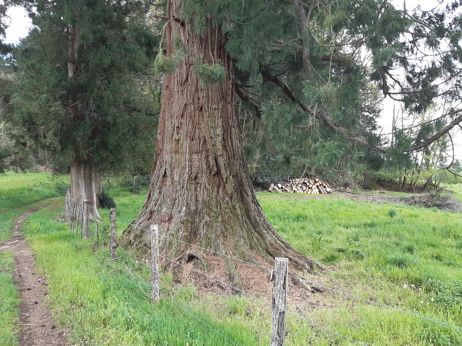 Circuit des 3 Puys, Champnétery