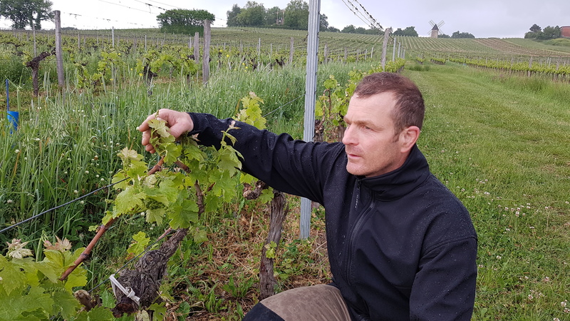 Domaines Tich et Grava — photo 2