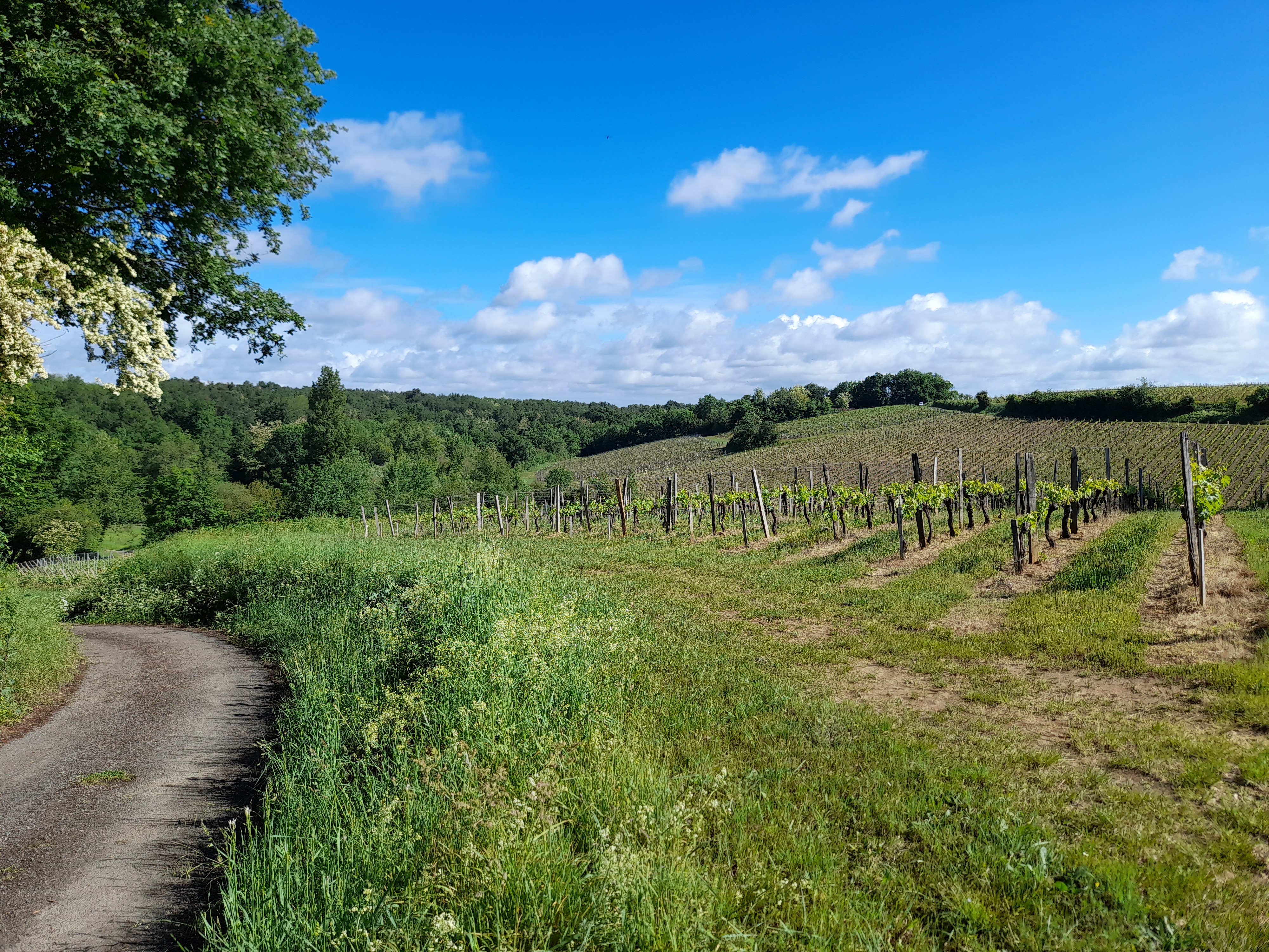 Boucle de la Vallée de l'Isle, Saillans - photo 5