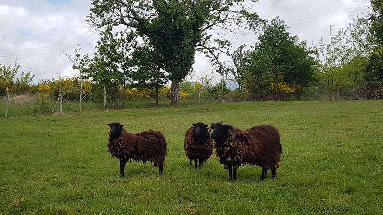 La cabane mobile, Beyssenac - photo 10
