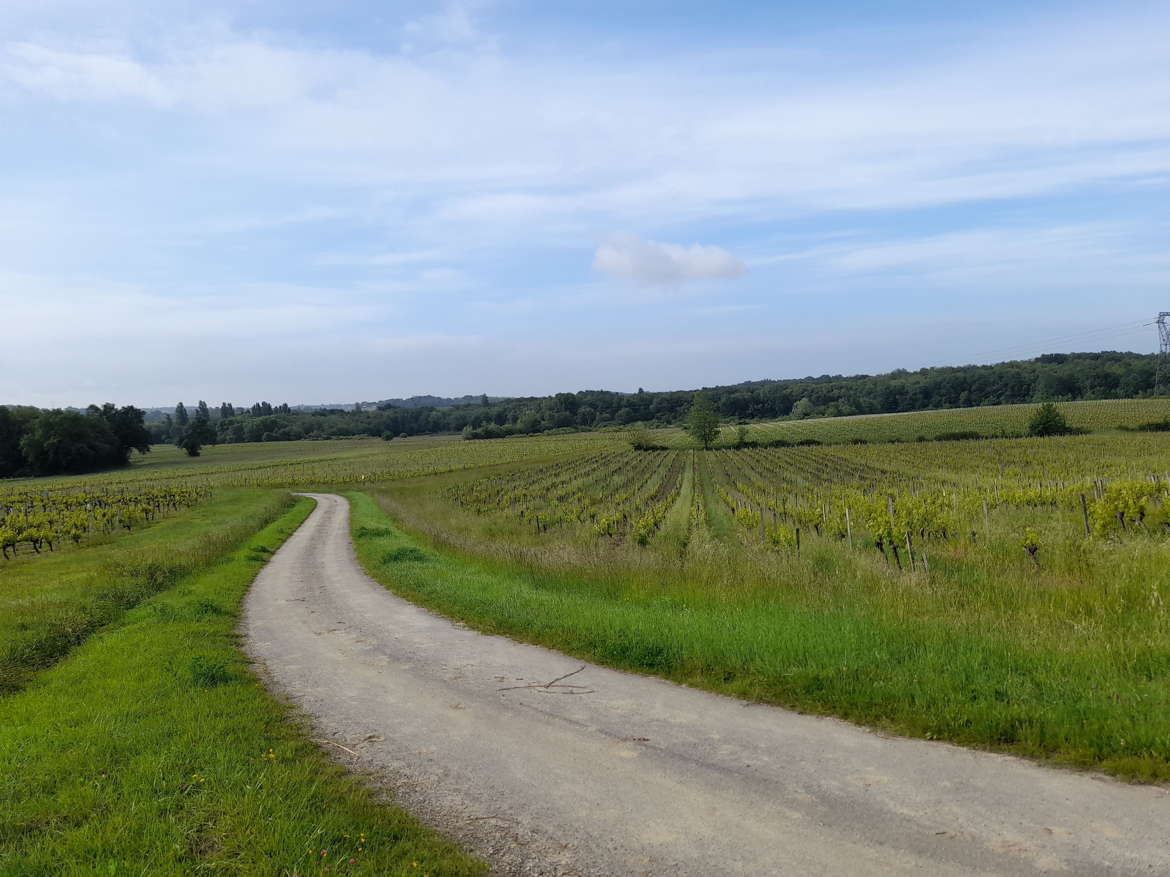 Boucle du Tertre de Thouil, Tarnès - photo 2