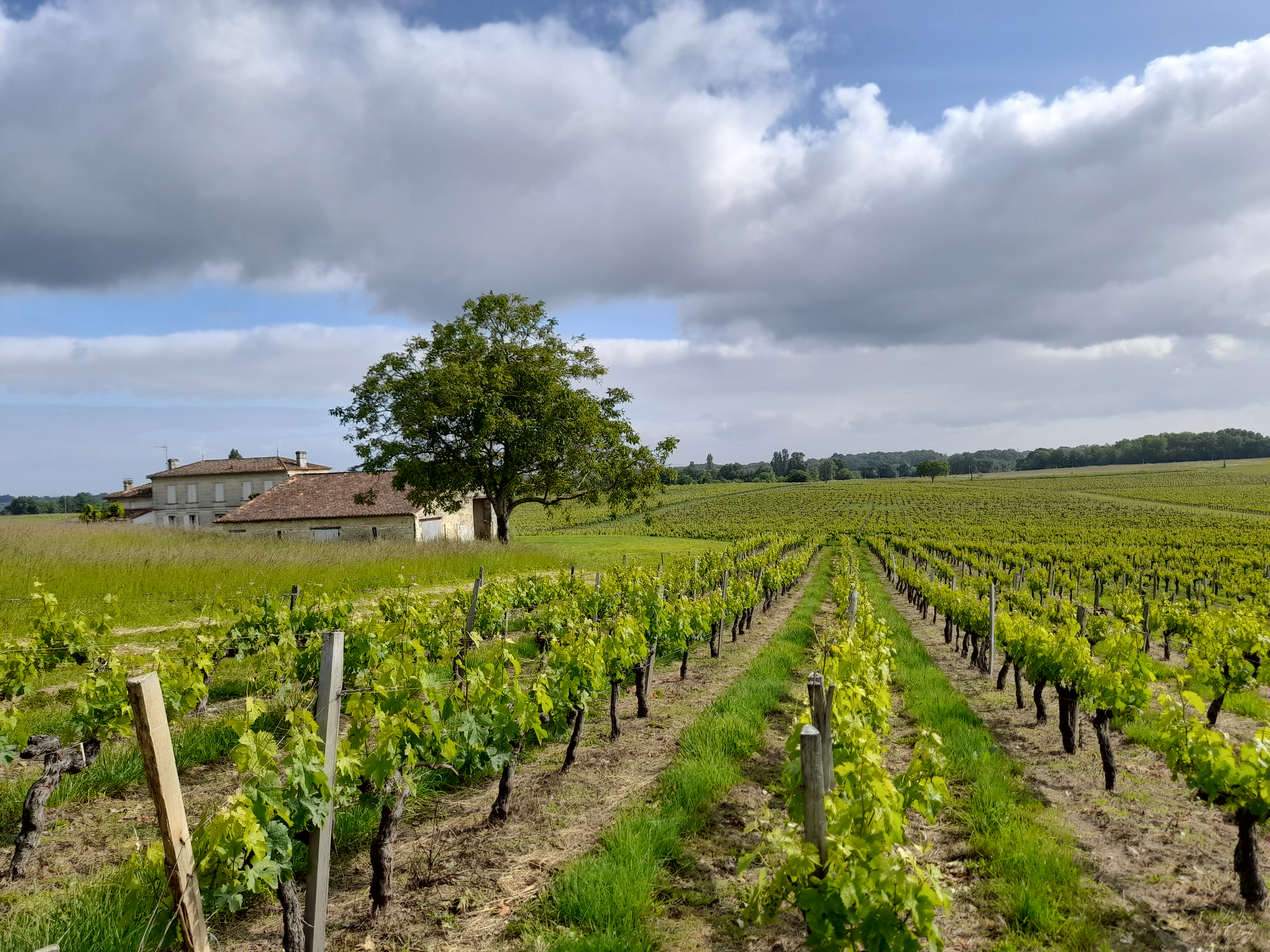 Boucle du Tertre de Thouil