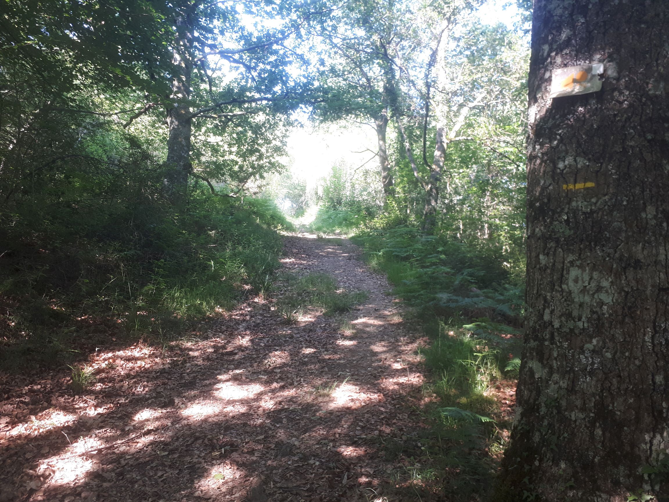 N°92 - Le Cambeillou, Esquiule - photo 11