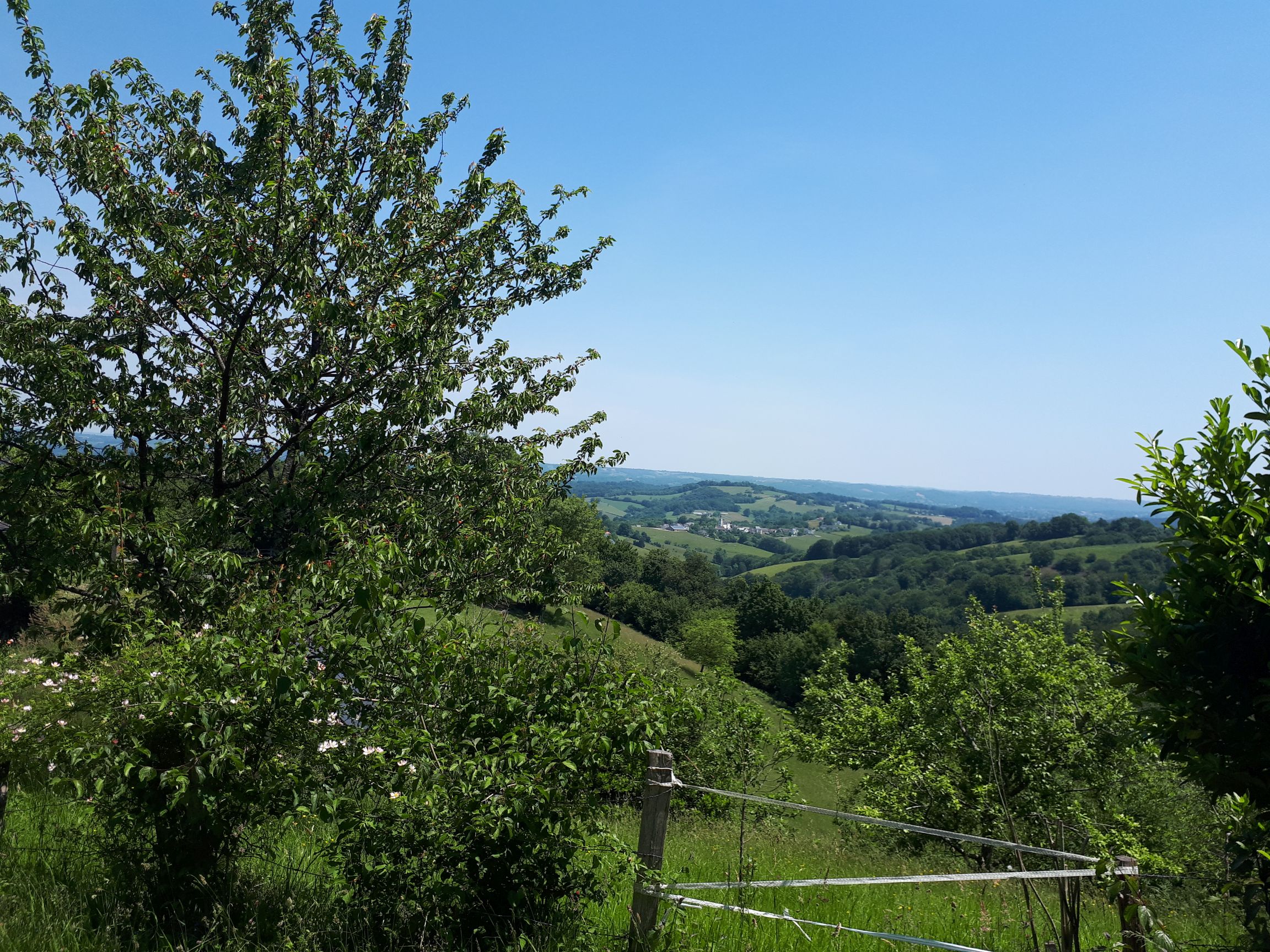 N°92 - Le Cambeillou, Esquiule