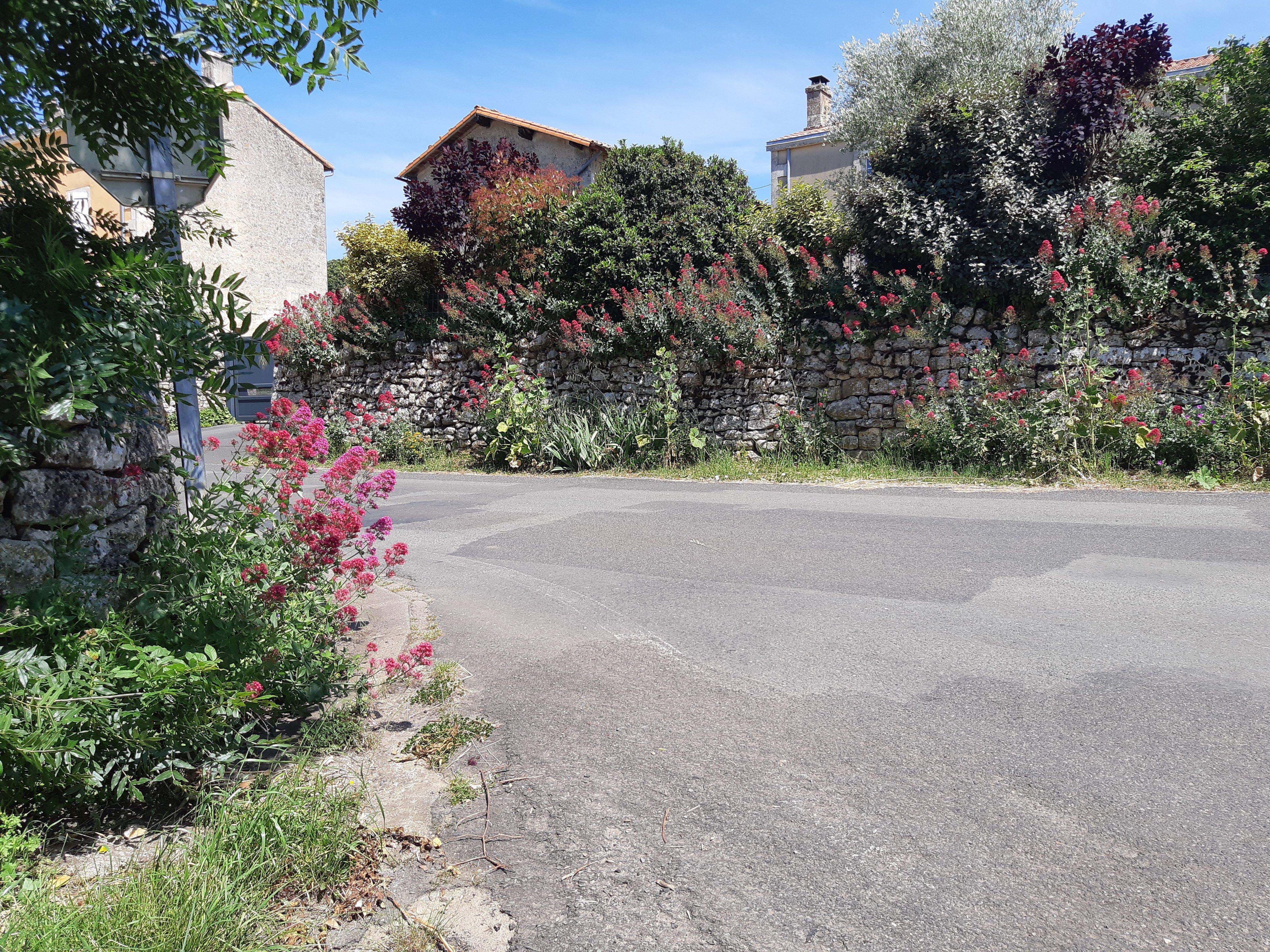 Du plateau à la vallée, de plein en délié - Montaillon, Aigondigné - photo 2