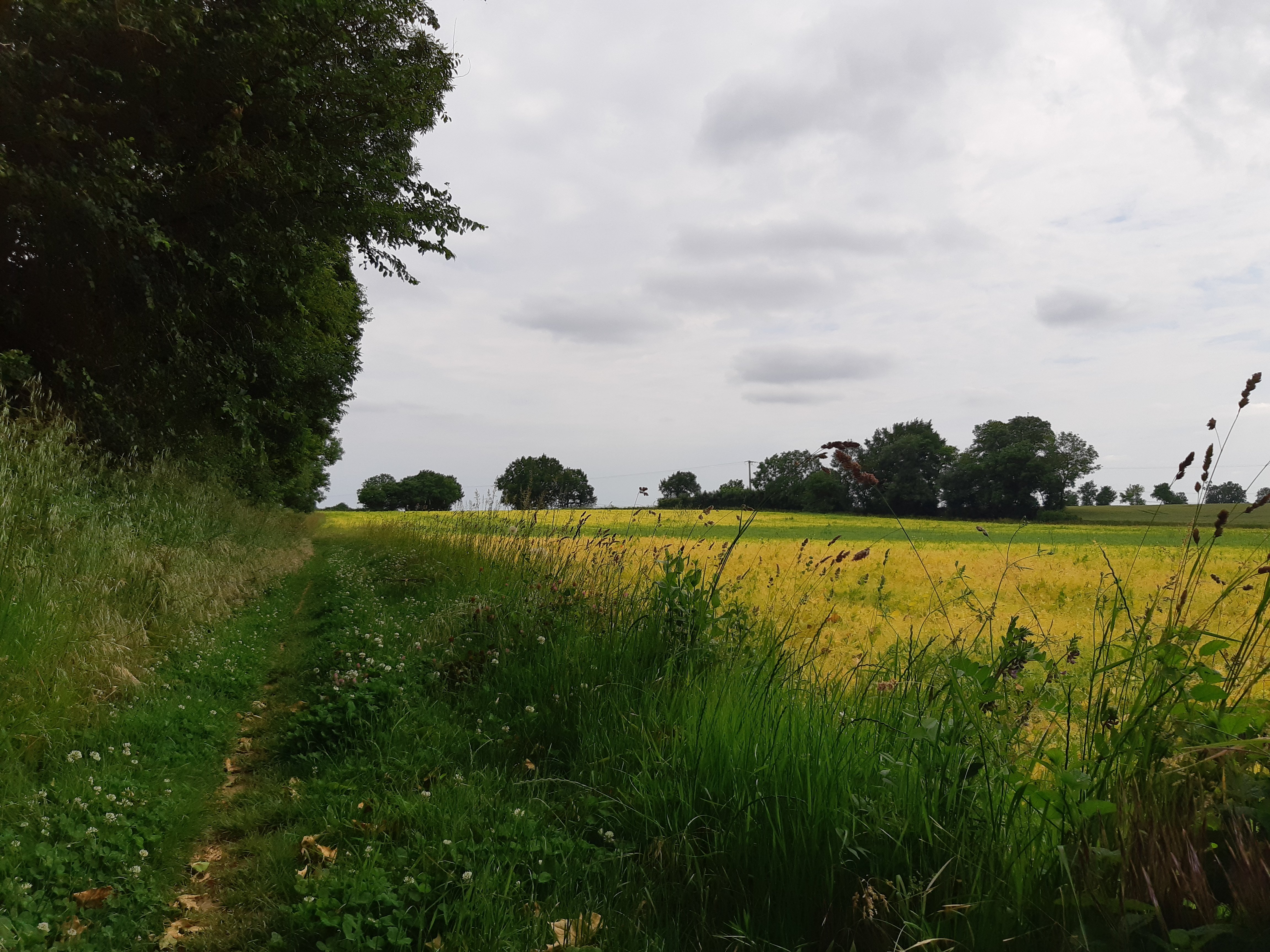 Circuit des Ammonites Thorigné