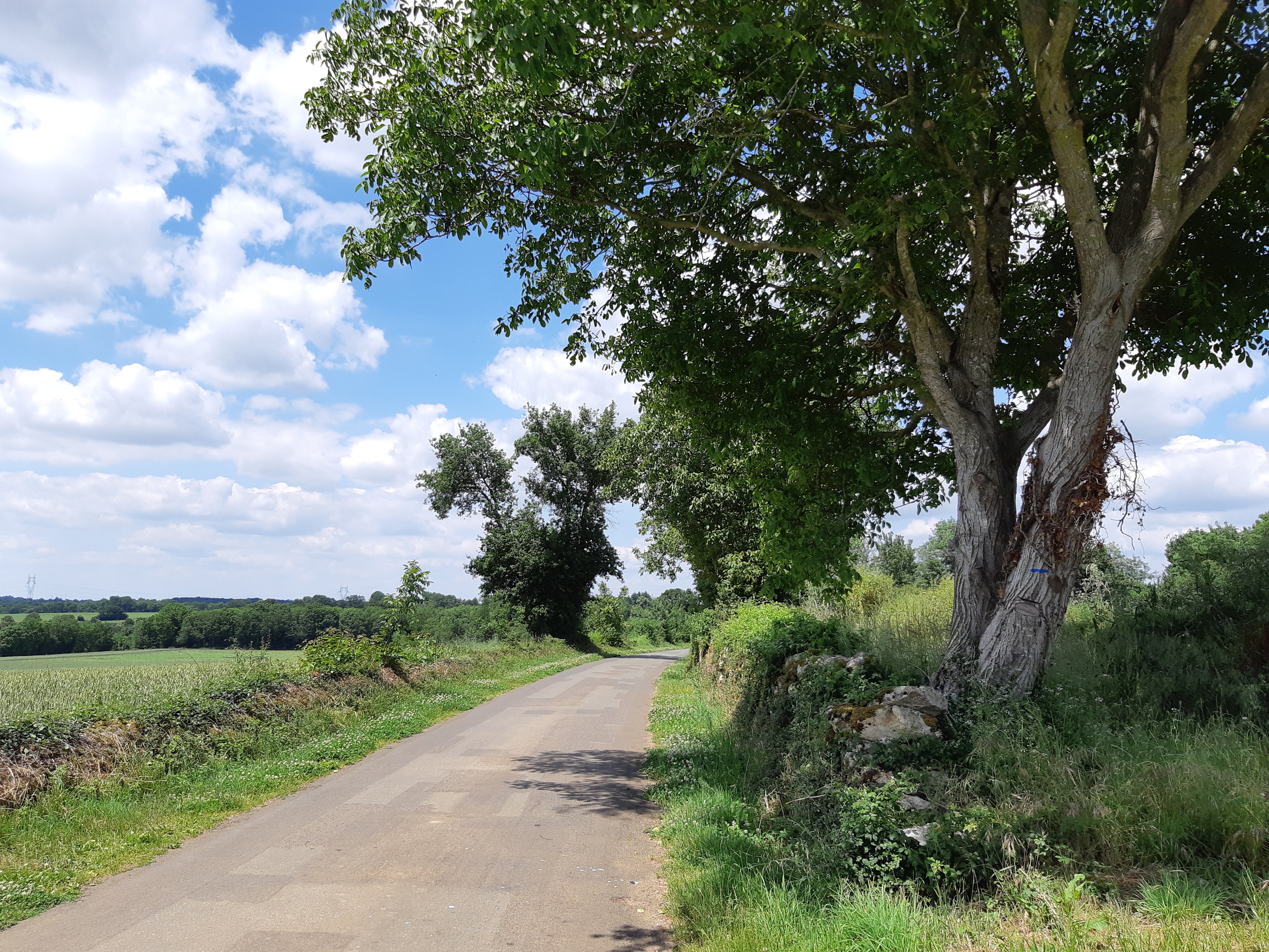 Du plateau à la vallée, de plein en délié - Montaillon, Aigondigné - photo 3
