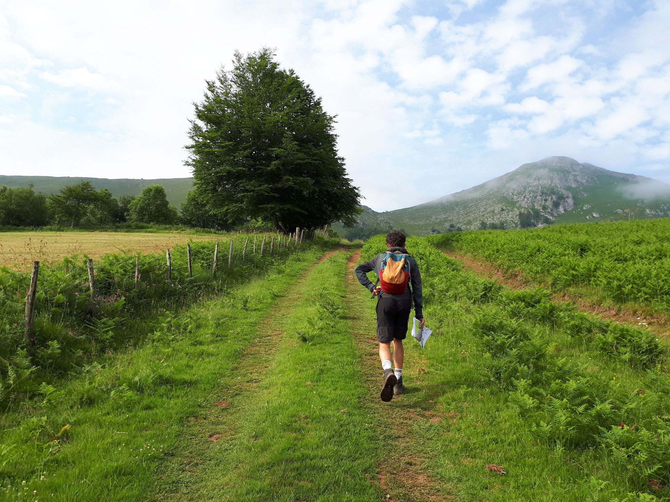 N°91 - Tumulus de la Serre, Issor - photo 4