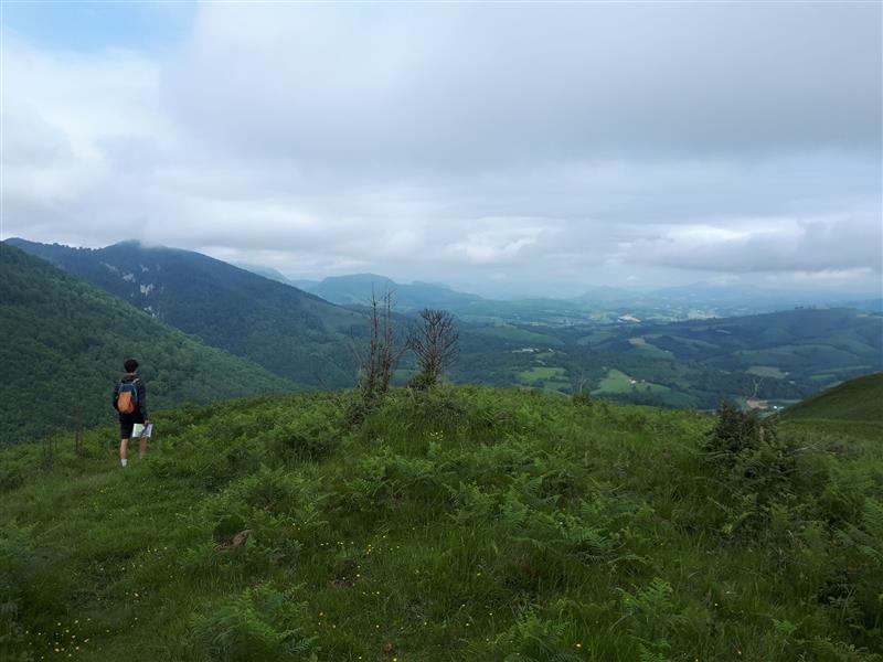 N°91 - Tumulus de la Serre