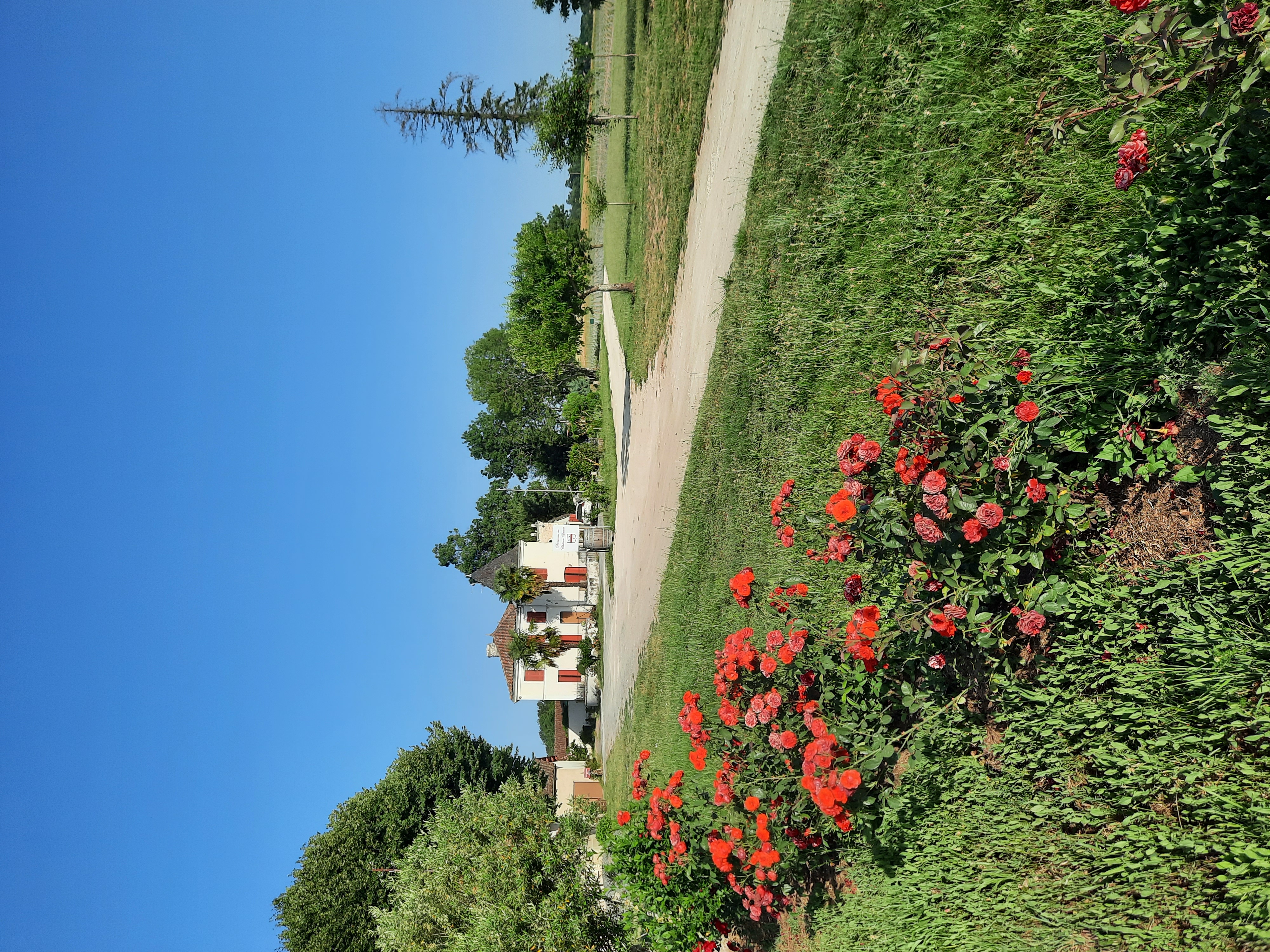 Château Lussan - photo 2