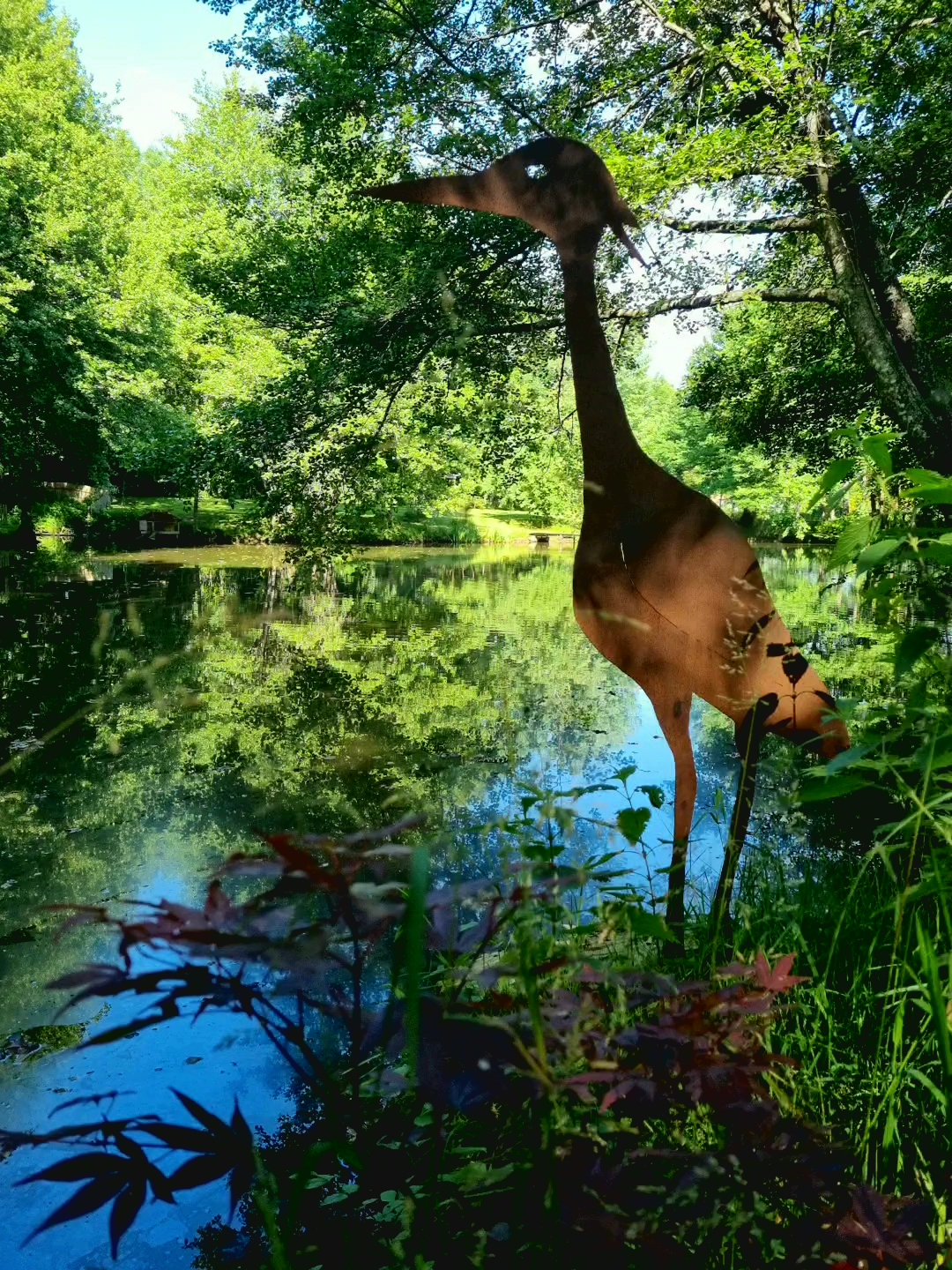 La Berlière - Gîte nature, Saint-Pardoux-Soutiers - photo 18