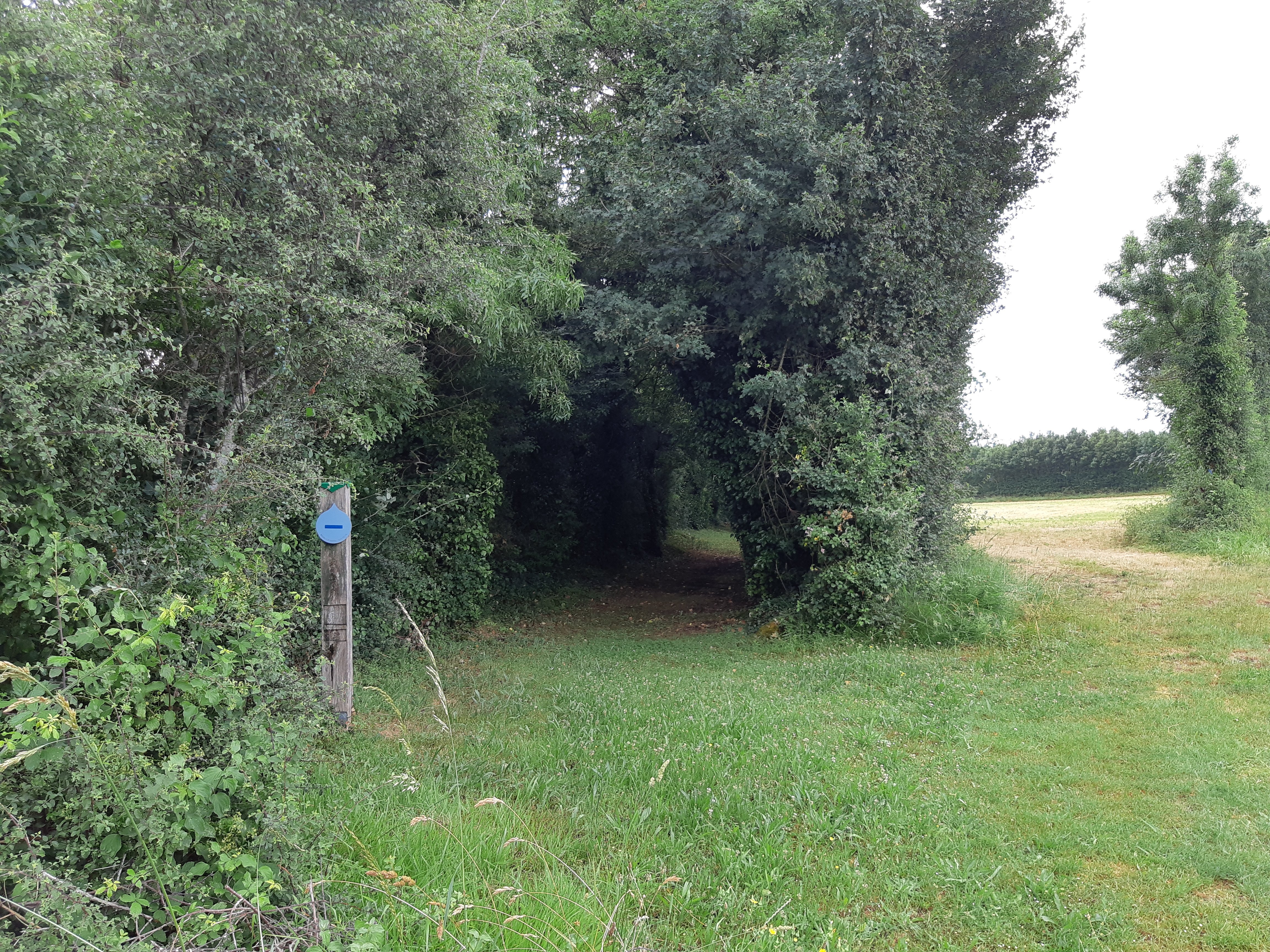 Sur les pas du chasseron - Saint-Génard, Marcillé - photo 3