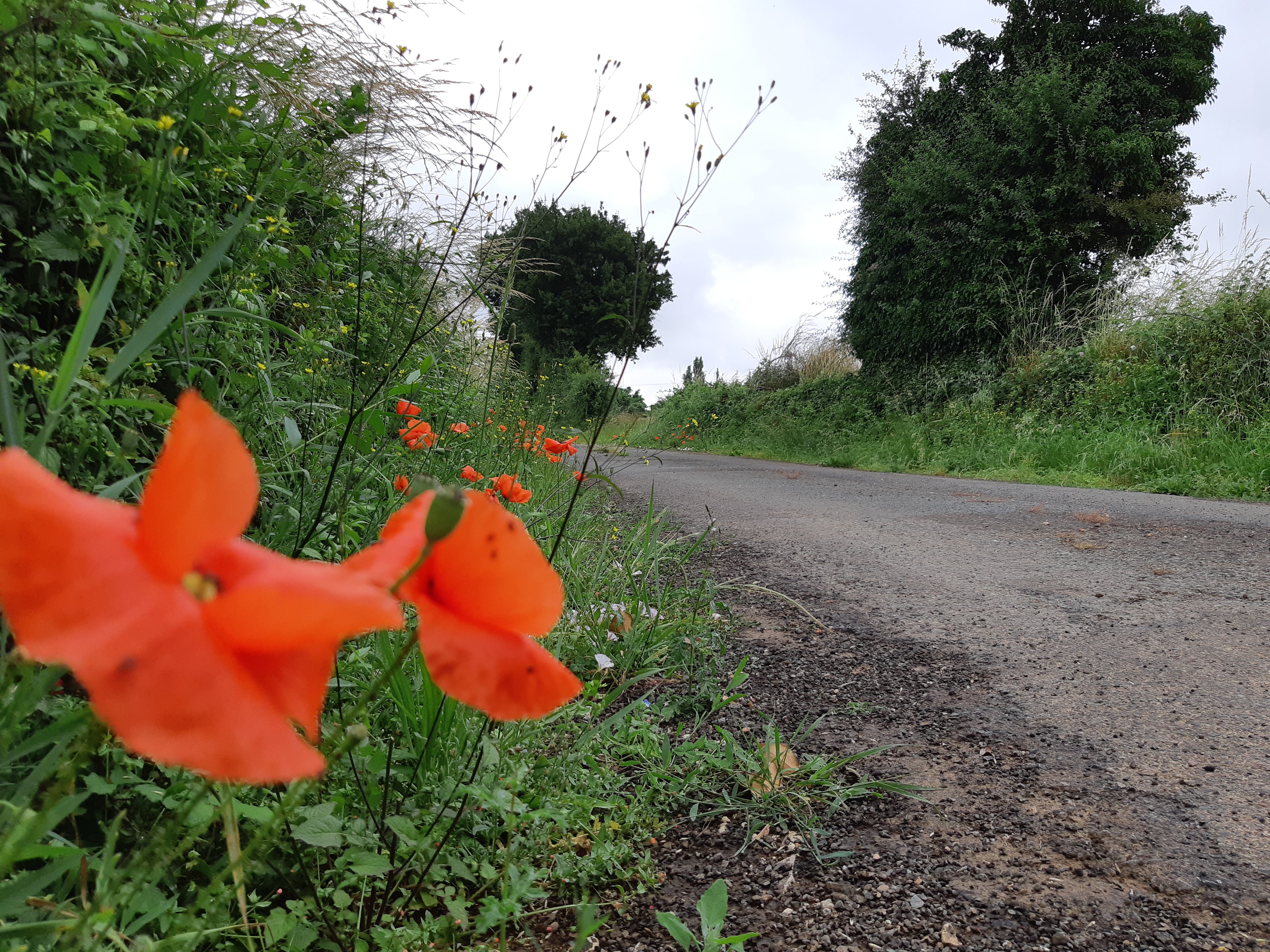 Sur les pas du chasseron - Saint-Génard, Marcillé