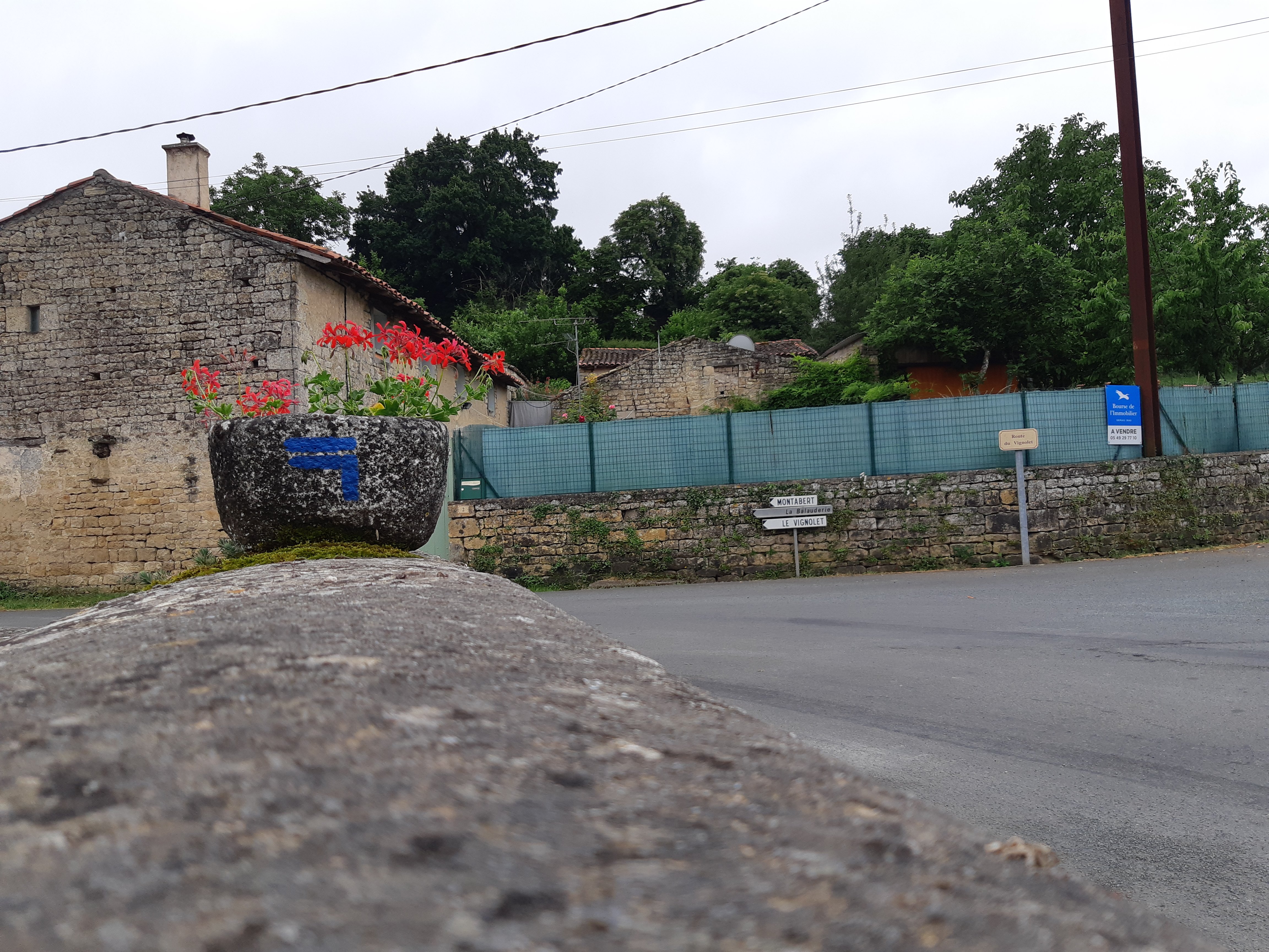 Sur les pas du chasseron - Saint-Génard, Marcillé - photo 4