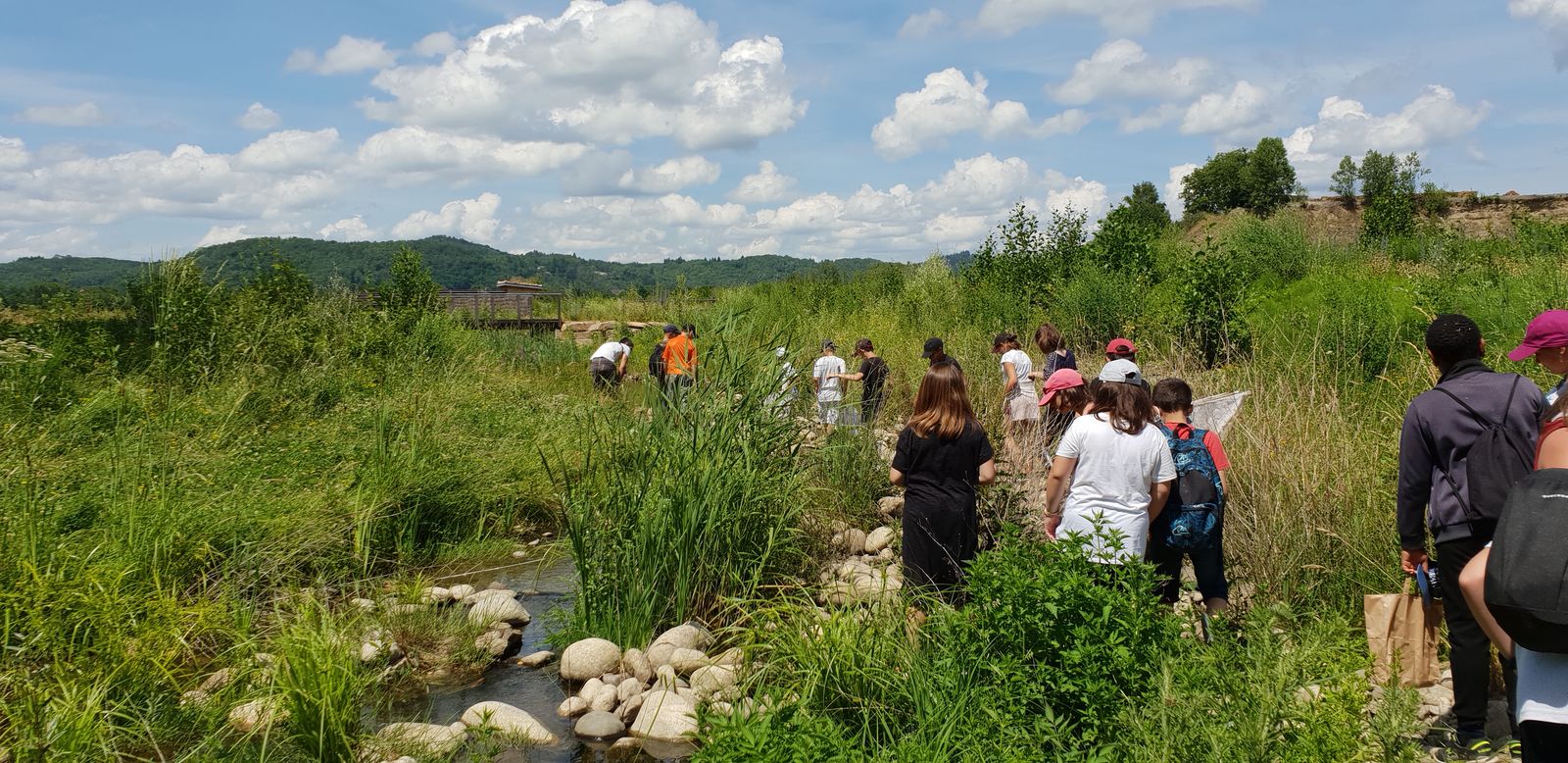 Réserve Départementale de Biodiversité "Les Gravières", Argentat-sur-Dordogne - photo 7