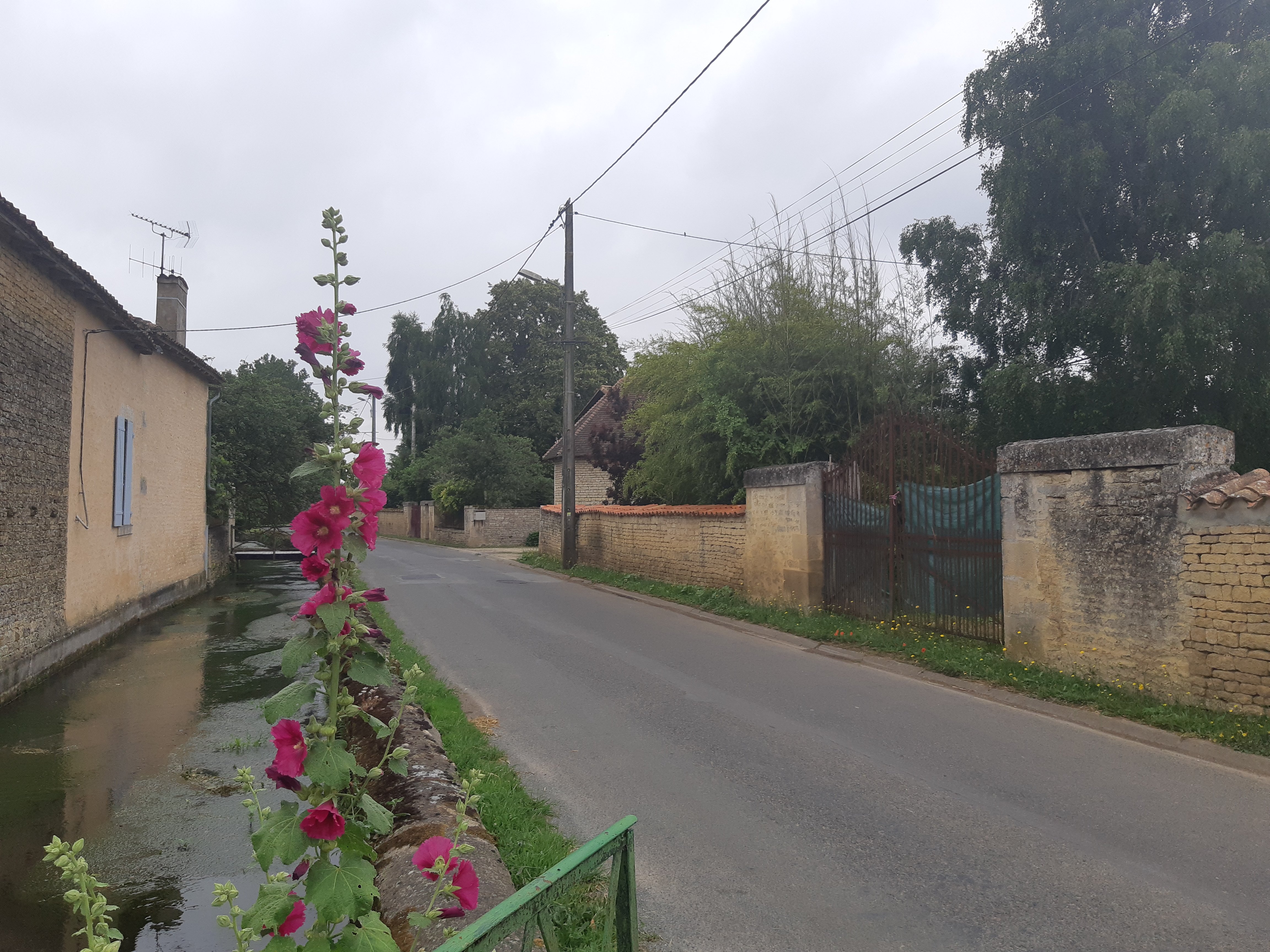 La balade des trois rivières - Vernoux-sur-Boutonne, Vernoux-sur-Boutonne - photo 5