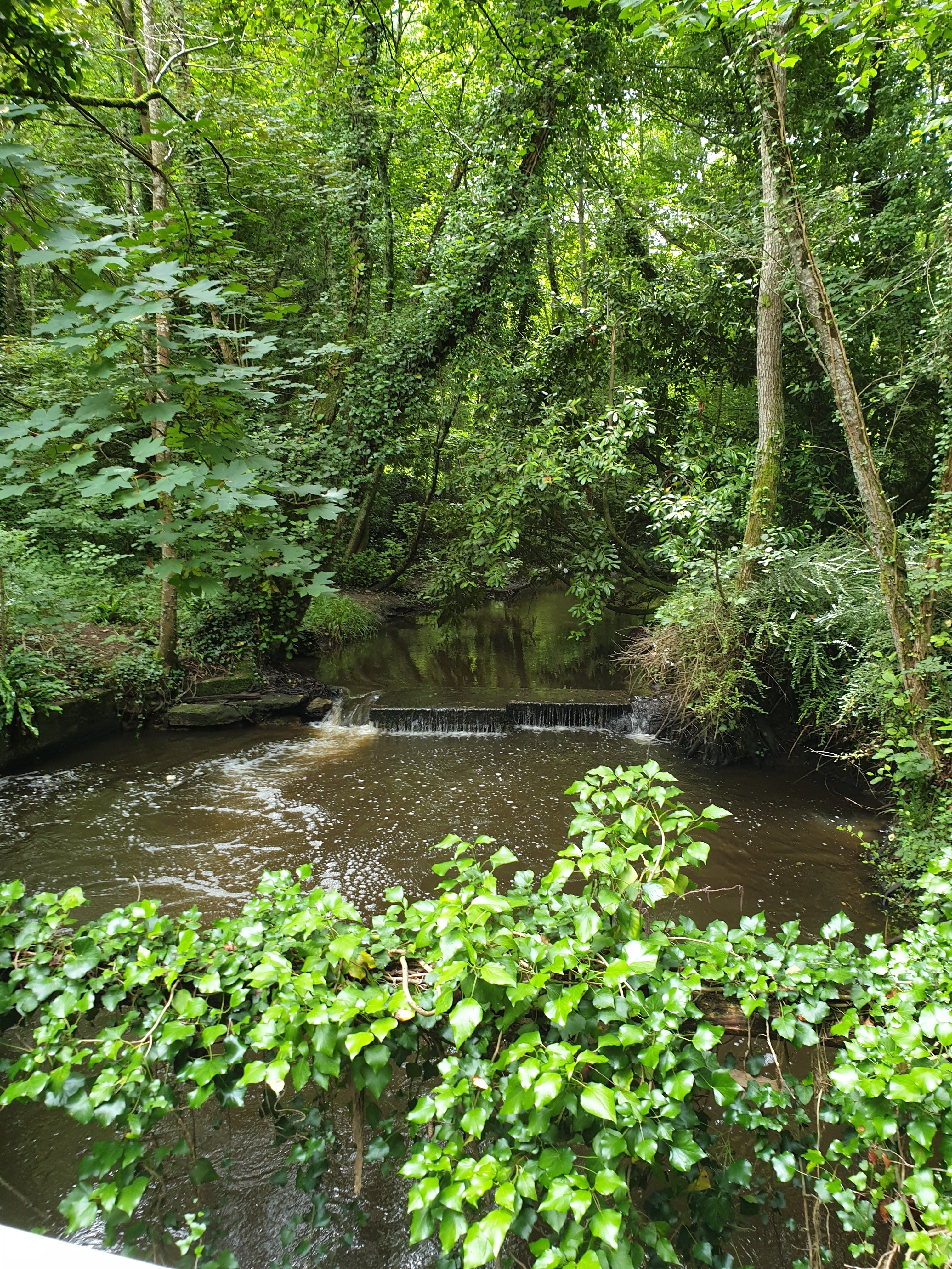 Terra Aventura : Cap ou « pacane » ?