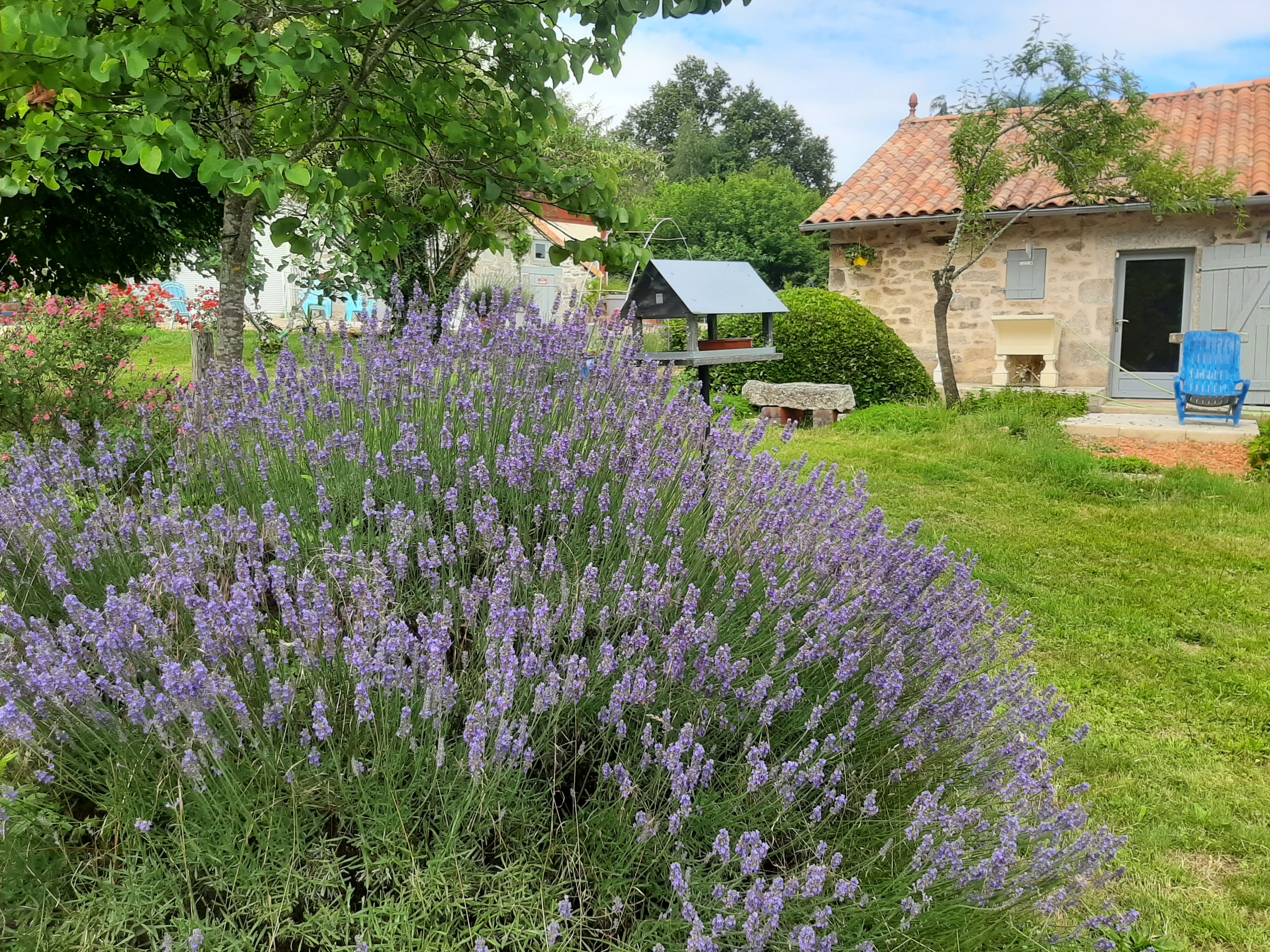 Melissa Miel, visite gratuite chez un apiculteur, Cheissoux - photo 3