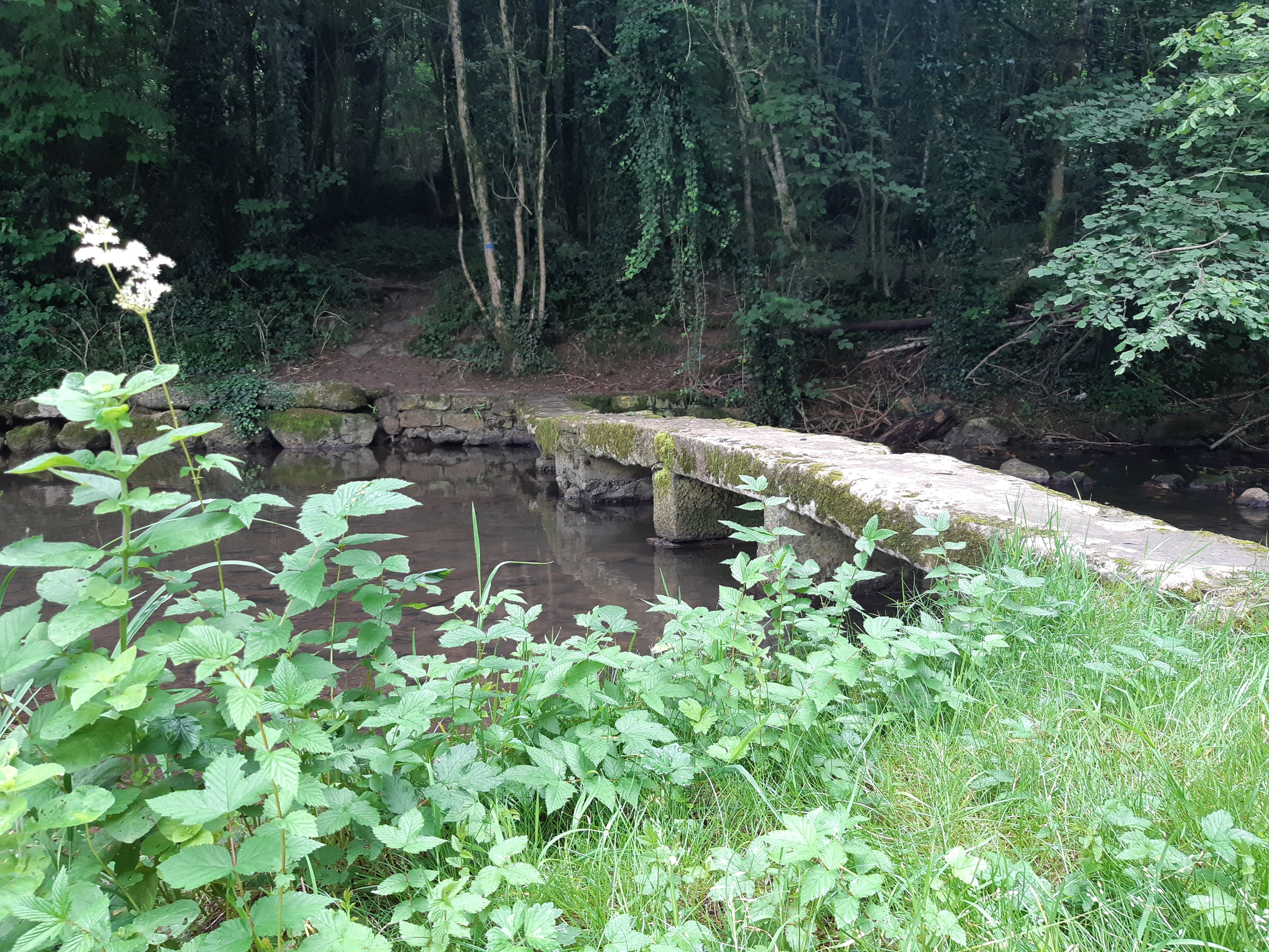 La balade de Mougnon - Saint-Romans-lès-Melle