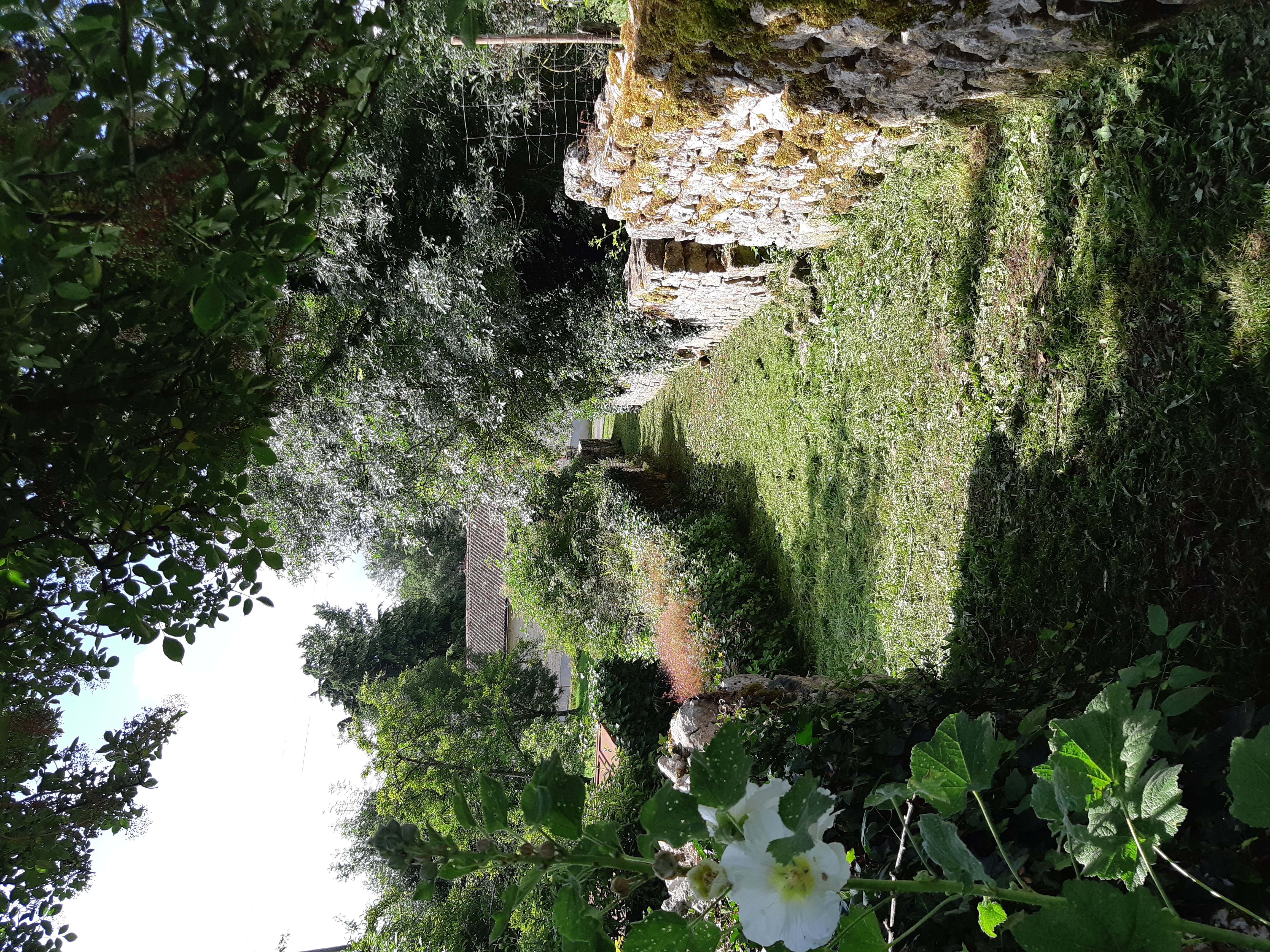 La balade de Mougnon - Saint-Romans-lès-Melle, Saint-Romans-lès-Melle - photo 6