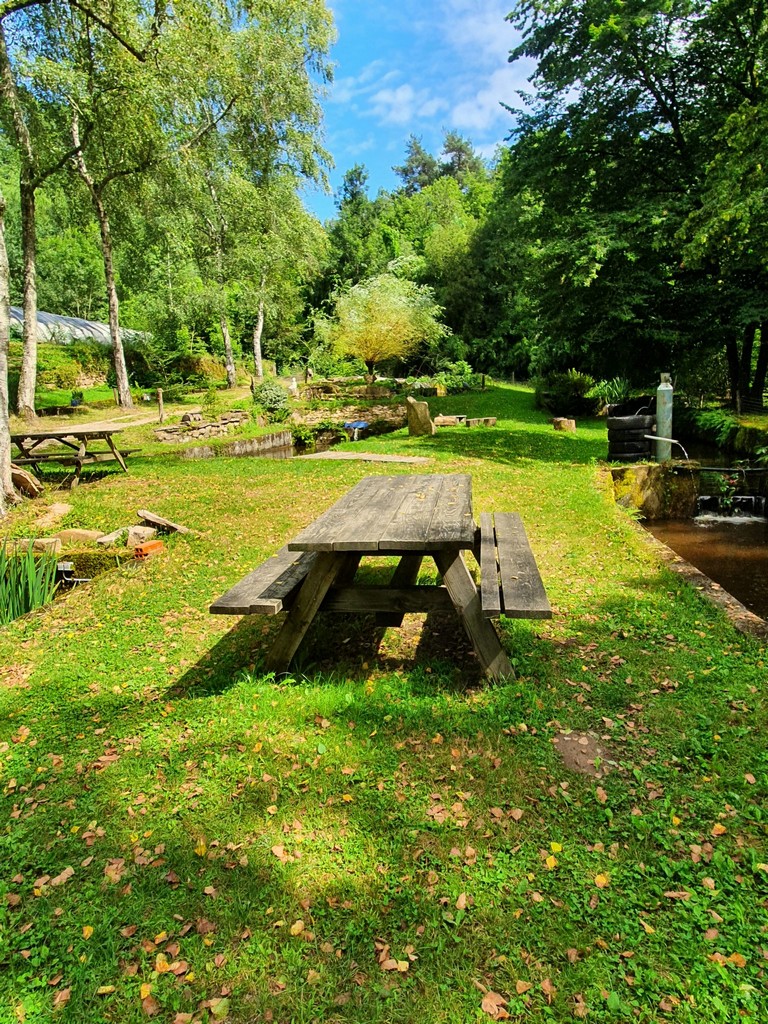 Pisciculture du Moulin de Lagier - photo 4