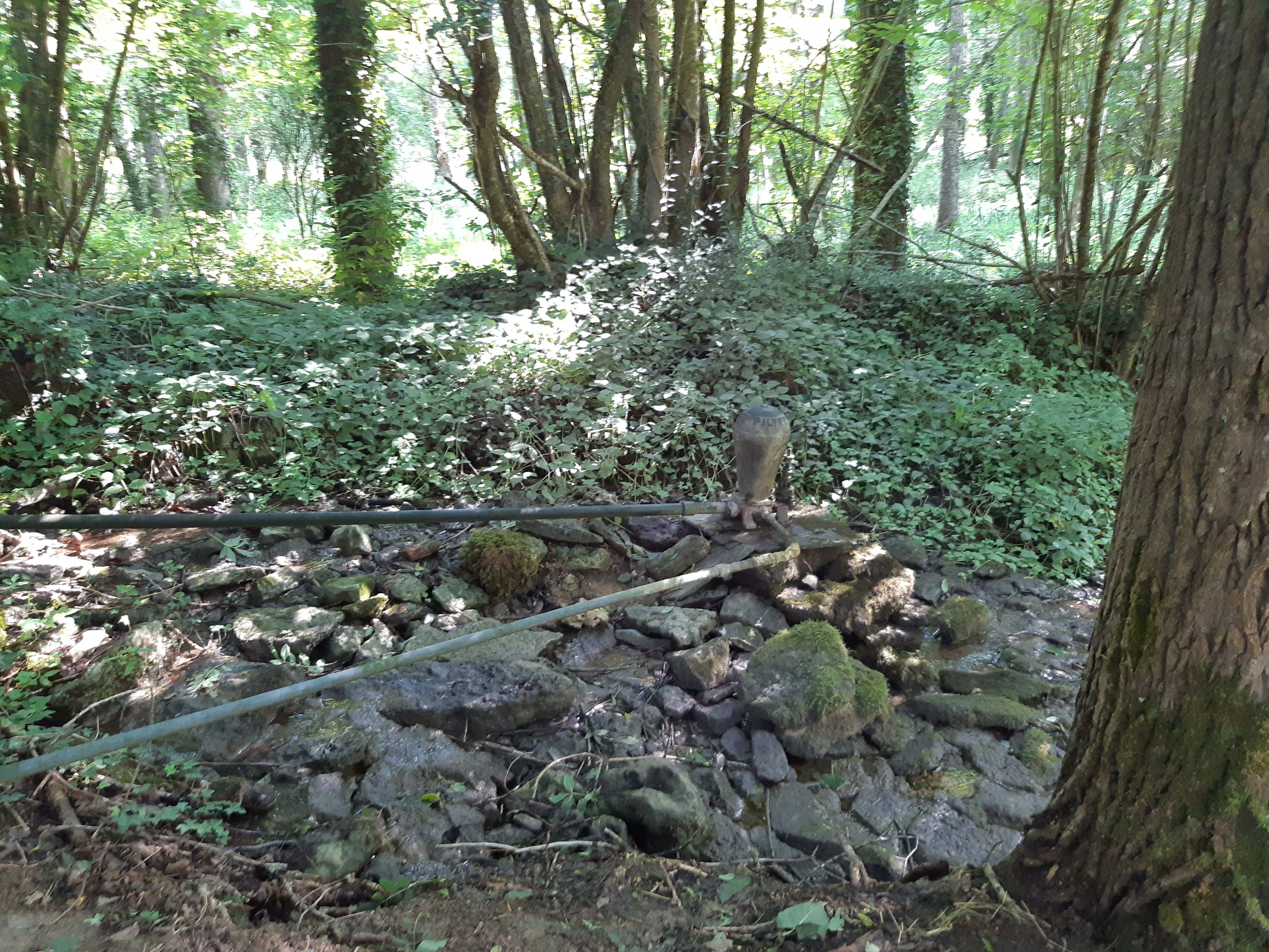 Le Bélier de la Banissière - parking pêcheur, base de Loisirs du Lambon, Prailles-La Couarde - photo 3
