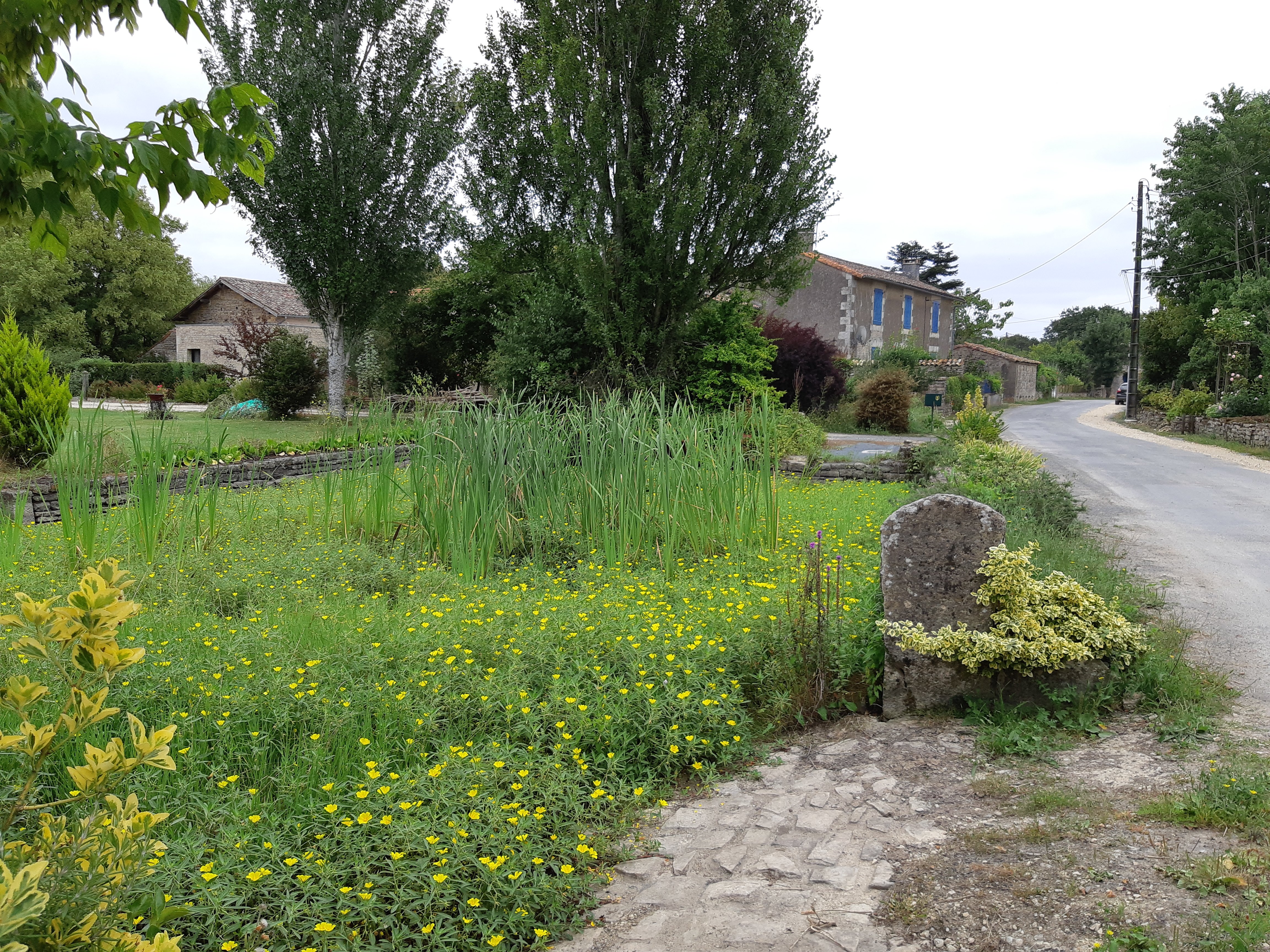 Sur le pas du convieur - Vançais, Vançais - photo 5