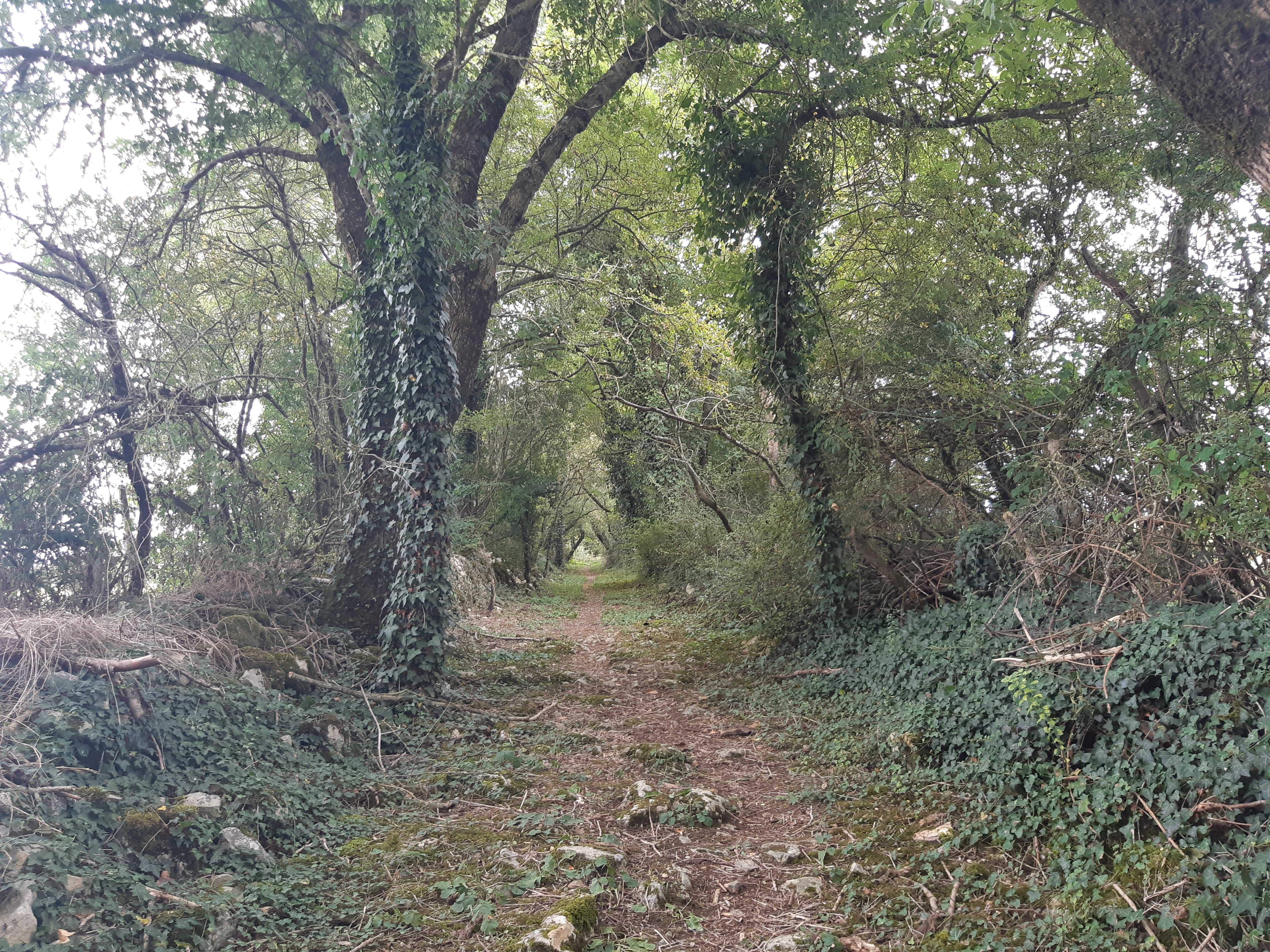 Découverte de notre patrimoine - Chenay, Chenay - photo 6