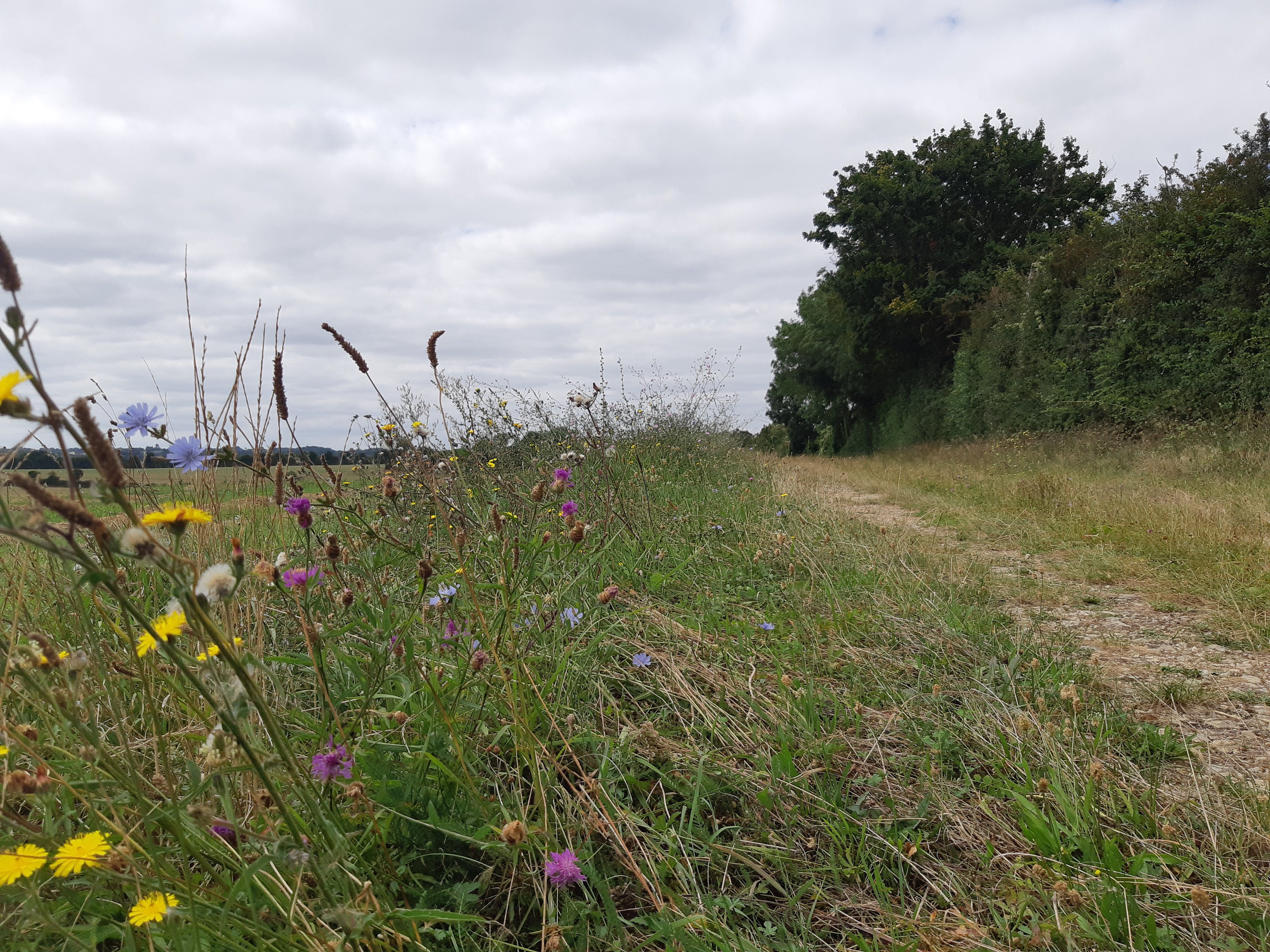 Découverte de notre patrimoine - Chenay