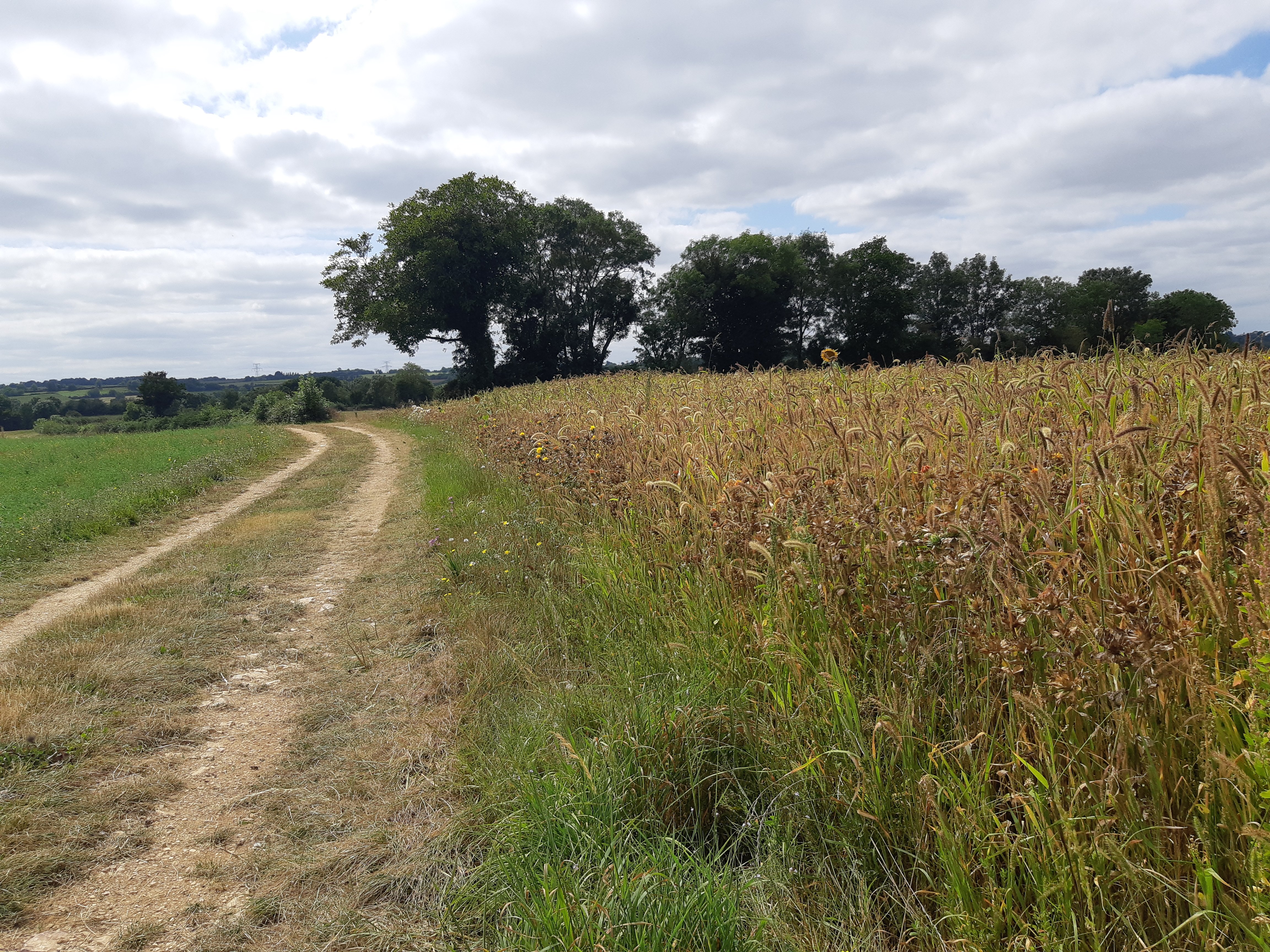 Découverte de notre patrimoine - Chenay, Chenay - photo 4