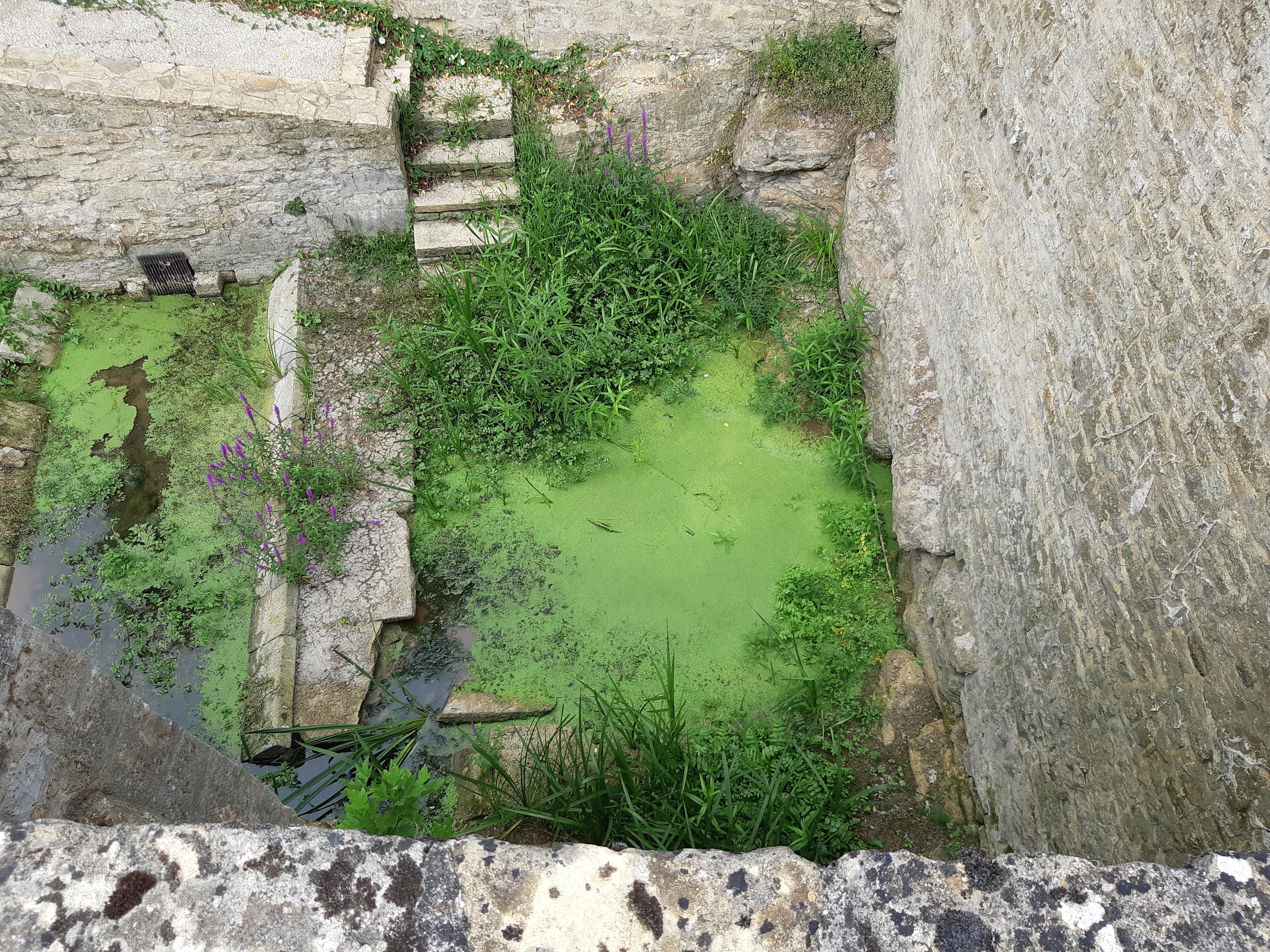 Découverte de notre patrimoine - Chenay, Chenay - photo 5