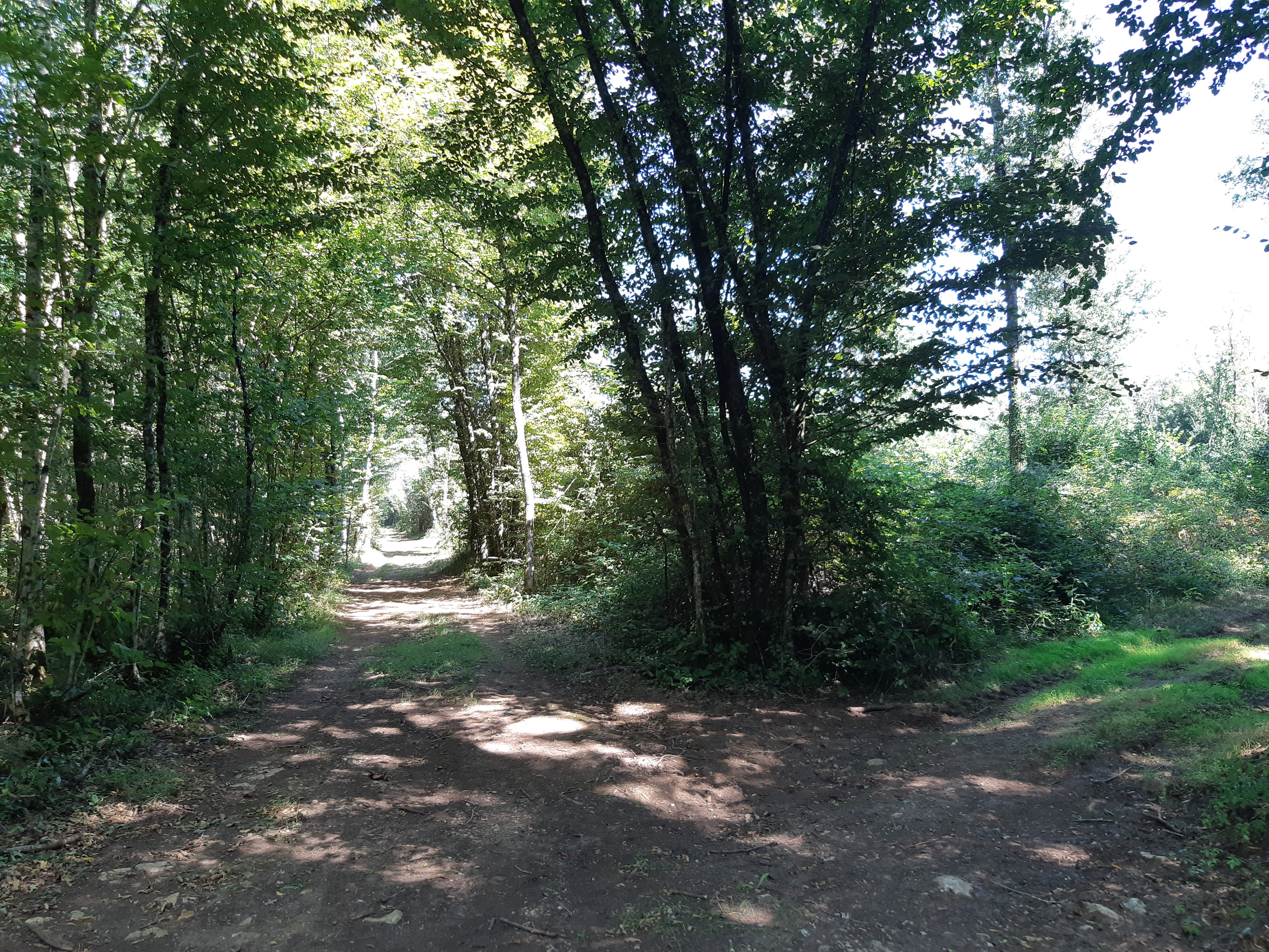 Circuit des Meulières - Caunay